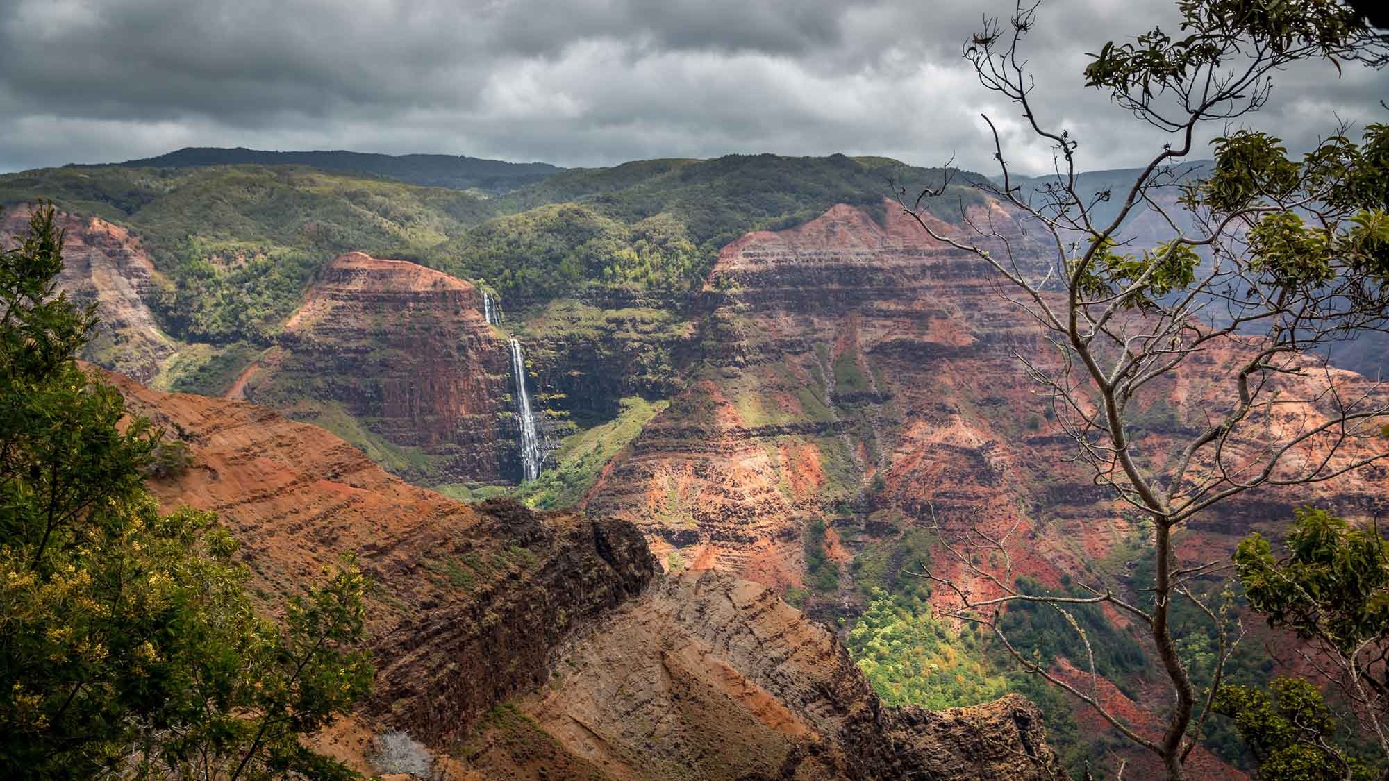 Kauai hiking, Waimea Canyon trail, Outdoor adventure, Nature's playground, 2000x1130 HD Desktop