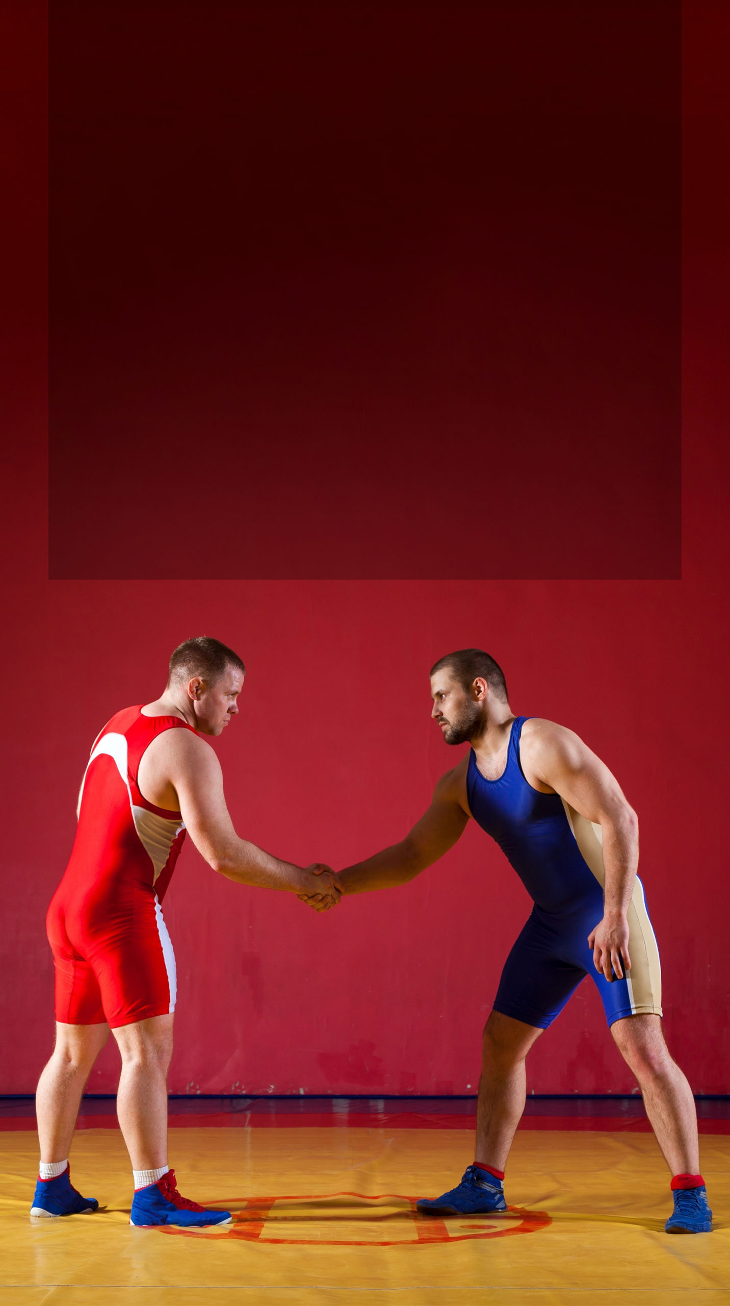 Greco-Roman Wrestling, Jiu jitsu martial arts compared, Legacy, 1440x2560 HD Phone