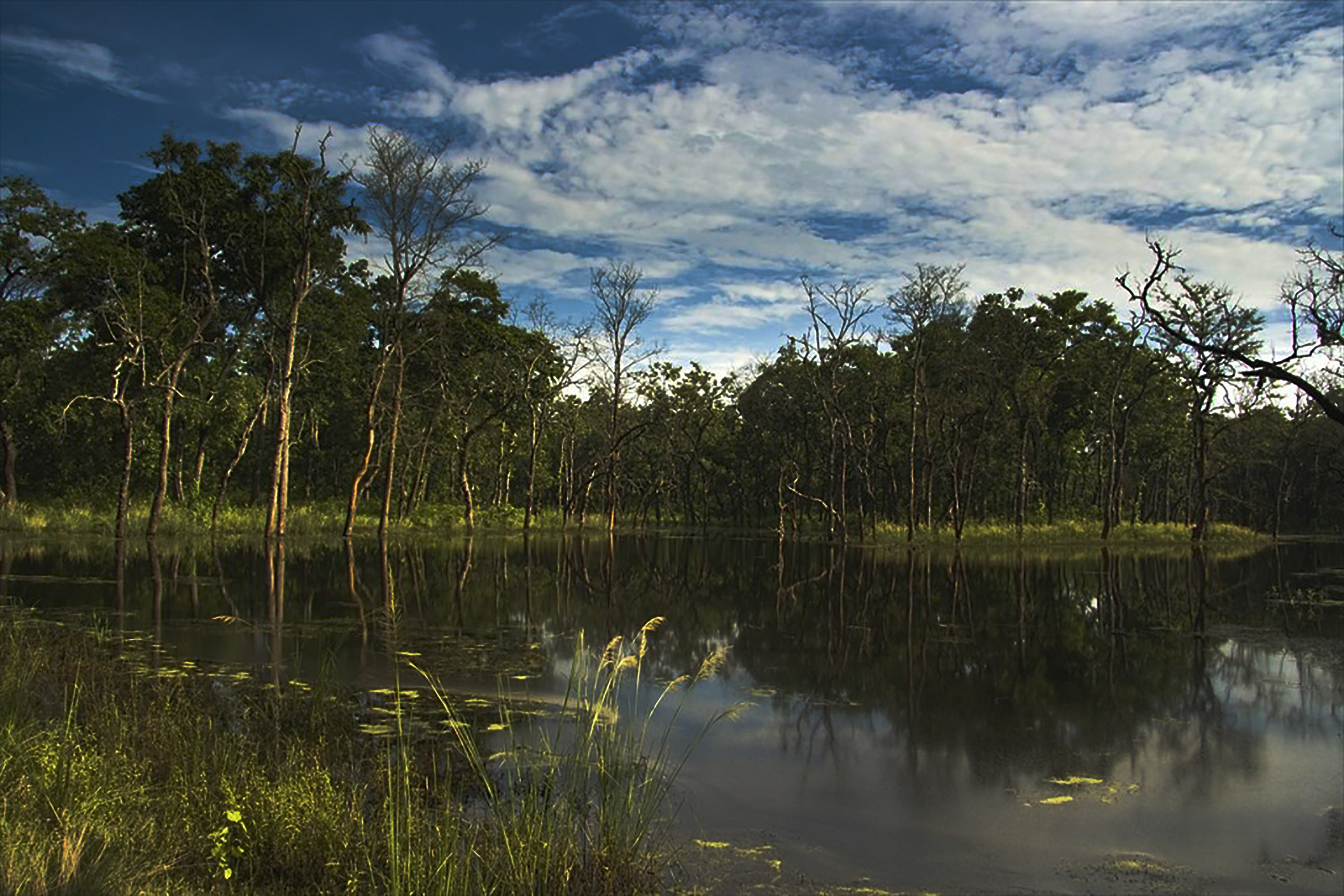 Chitwan National Park, Rich history, Nature conservation, Ecotourism, 2740x1830 HD Desktop