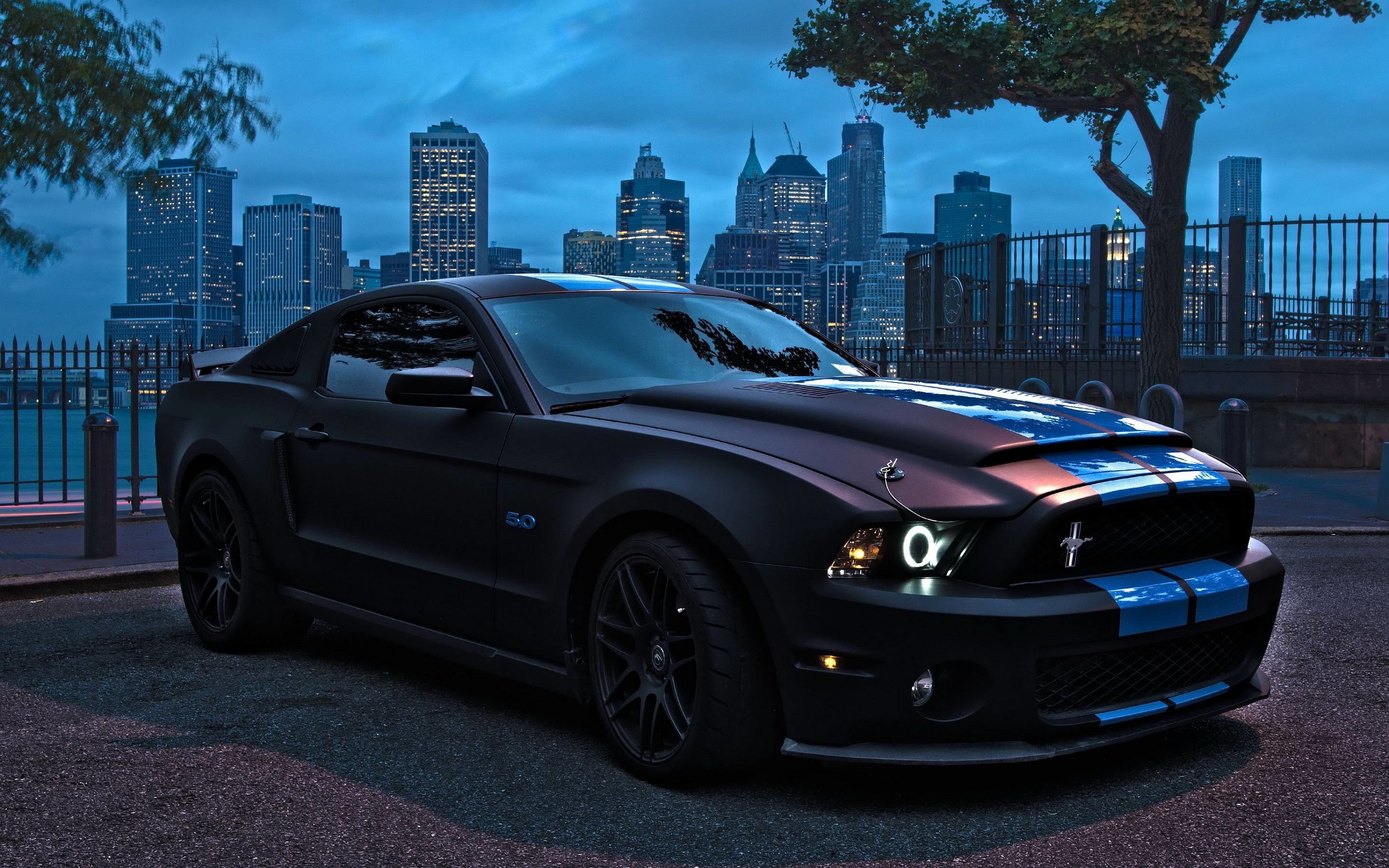 2011 Mustang GT500, Mustang Wallpaper, 2880x1800 HD Desktop