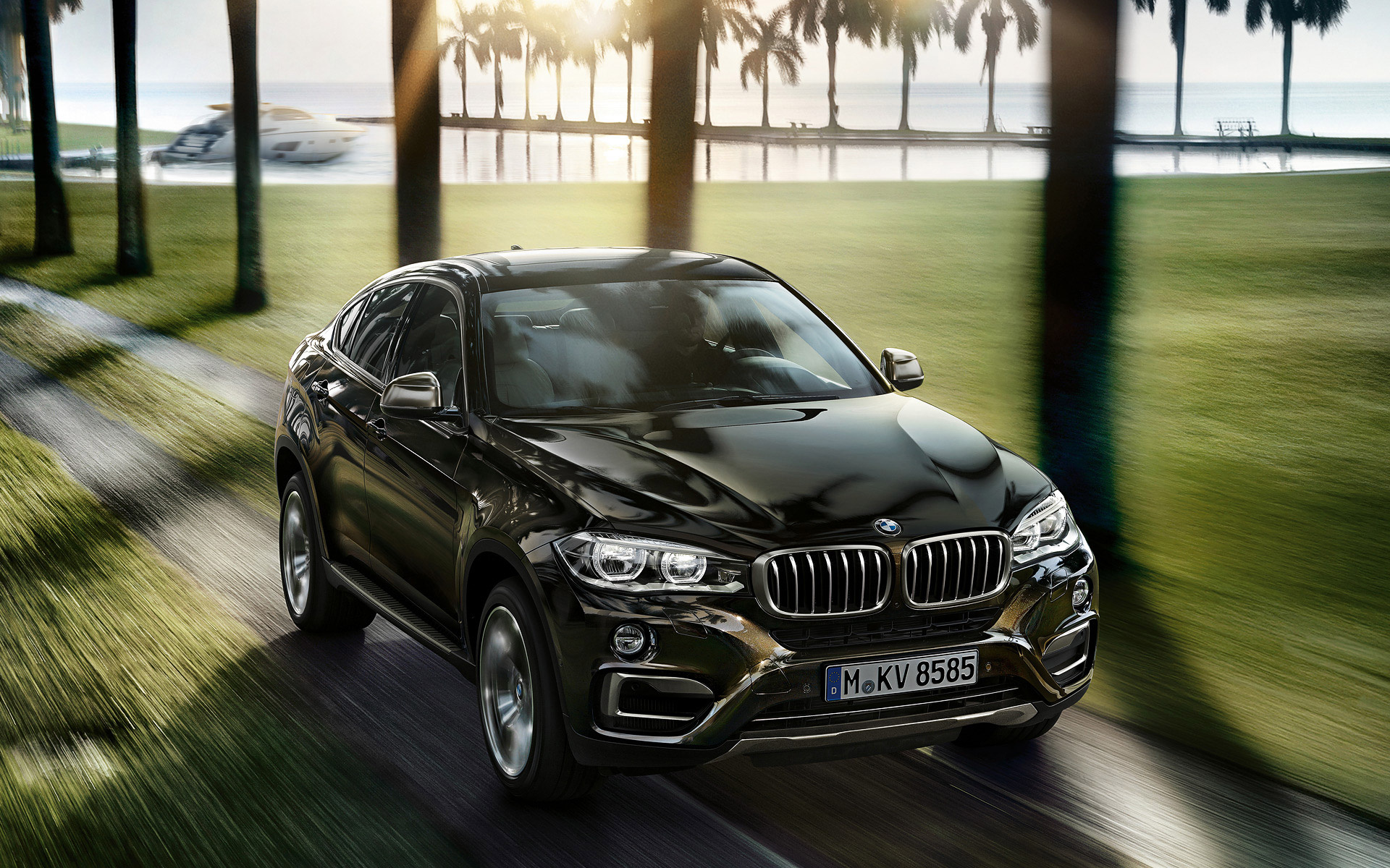 BMW X6, Oberklasse SUV, Daten, Fakten, 1920x1200 HD Desktop