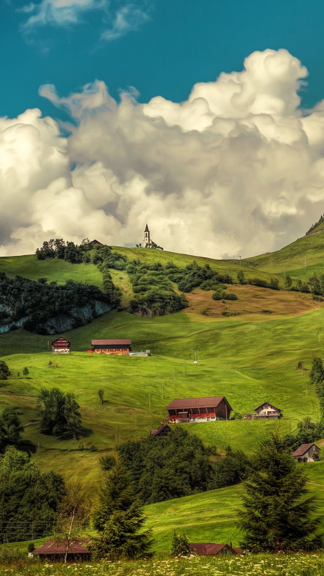 Swiss hill village, Enchanting forest, Cloudy atmosphere, Nature's backdrop, 1080x1920 Full HD Phone