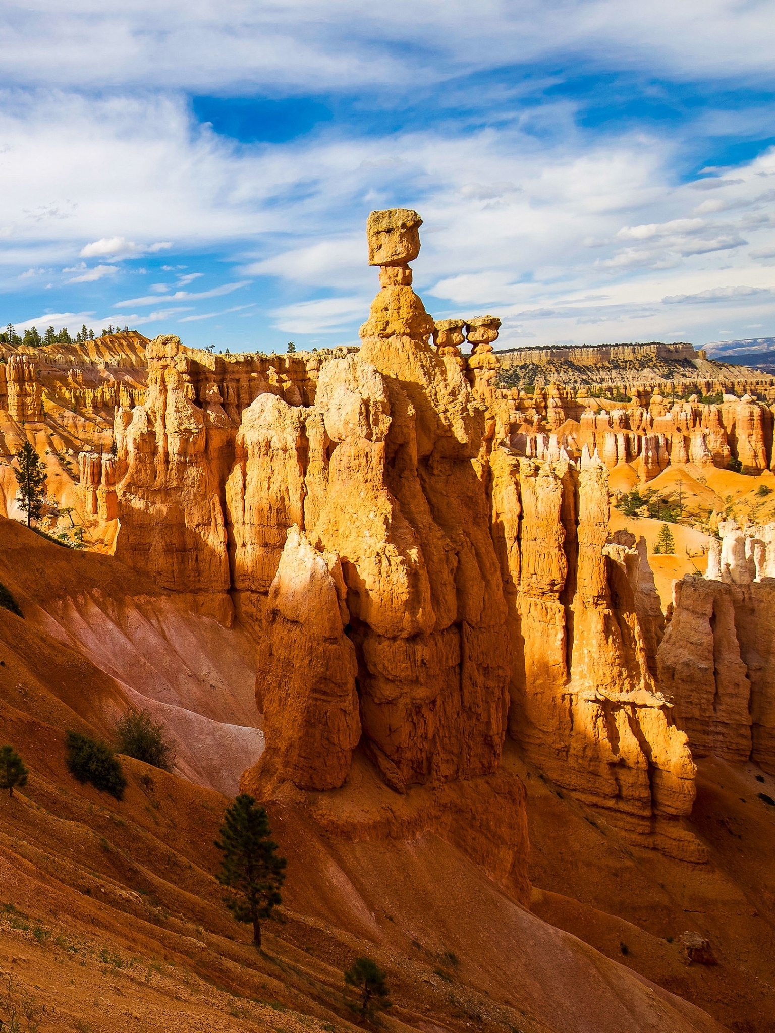 Earth, Bryce Canyon National Park, Natural wonders, National parks, 1540x2050 HD Phone