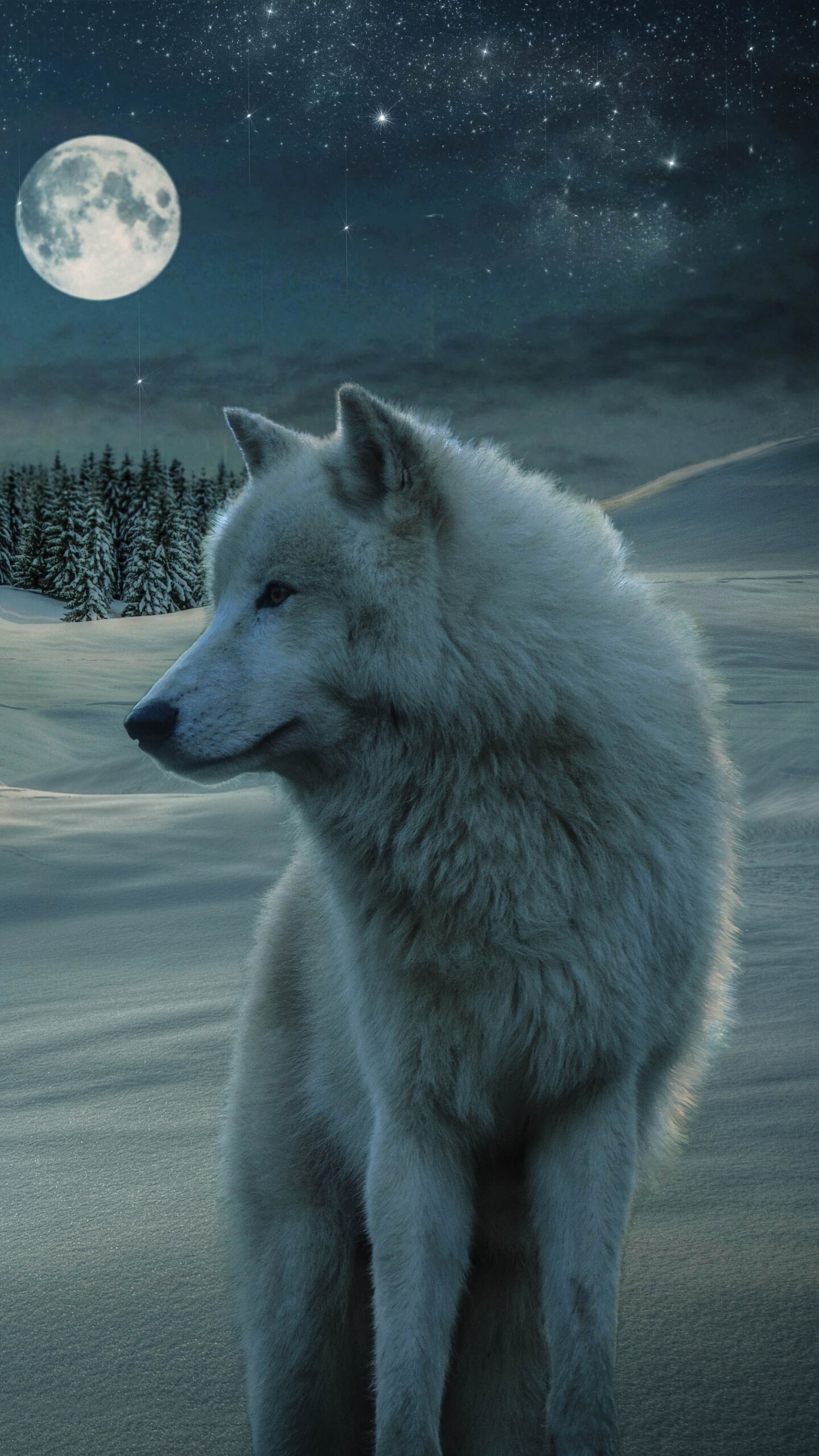 4K wolf, Stunning wallpaper, Visual masterpiece, Artistic representation, 1440x2560 HD Phone