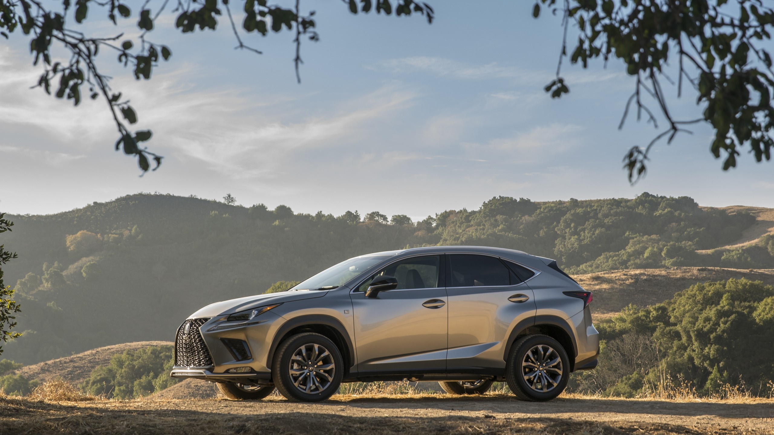 F Sport 2018, Lexus NX Wallpaper, 2560x1440 HD Desktop