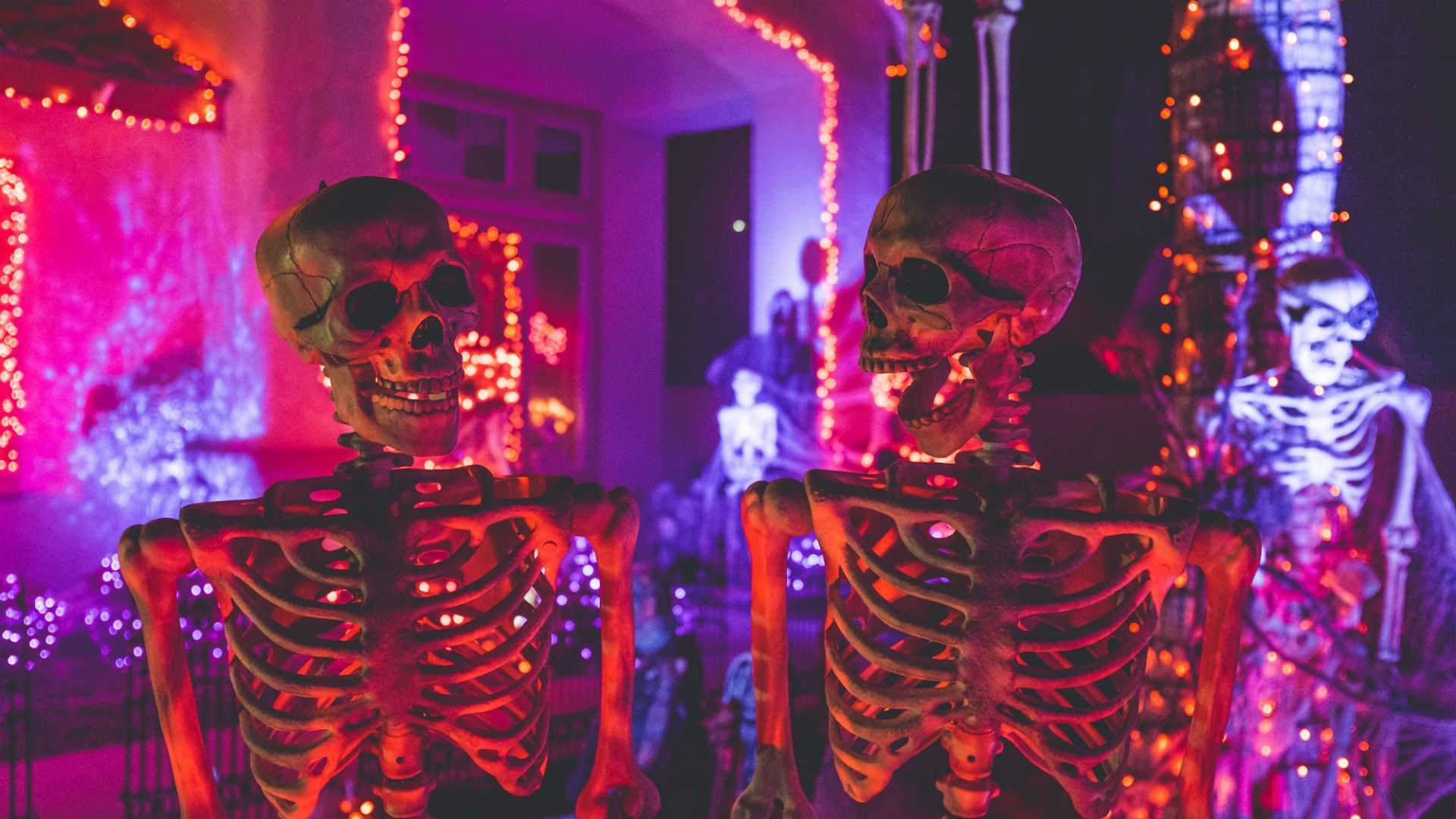 Halloween Skeletons