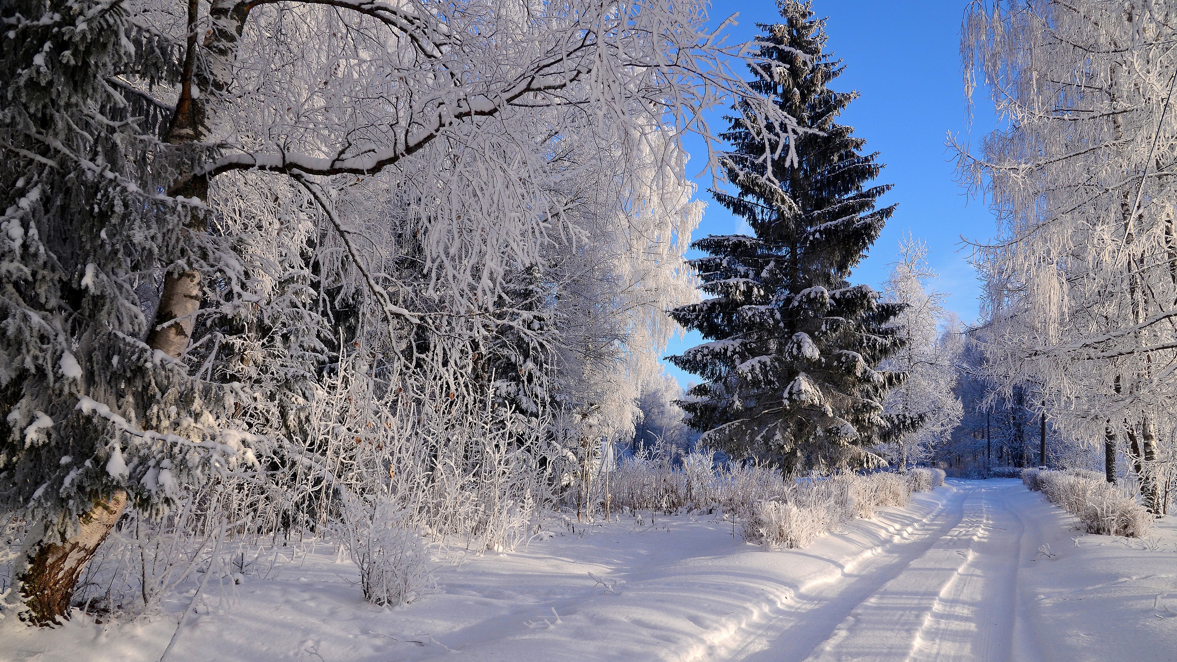 Path in nature, 4K Ultra HD wallpaper, Outdoor adventure, Serene atmosphere, 3840x2160 4K Desktop