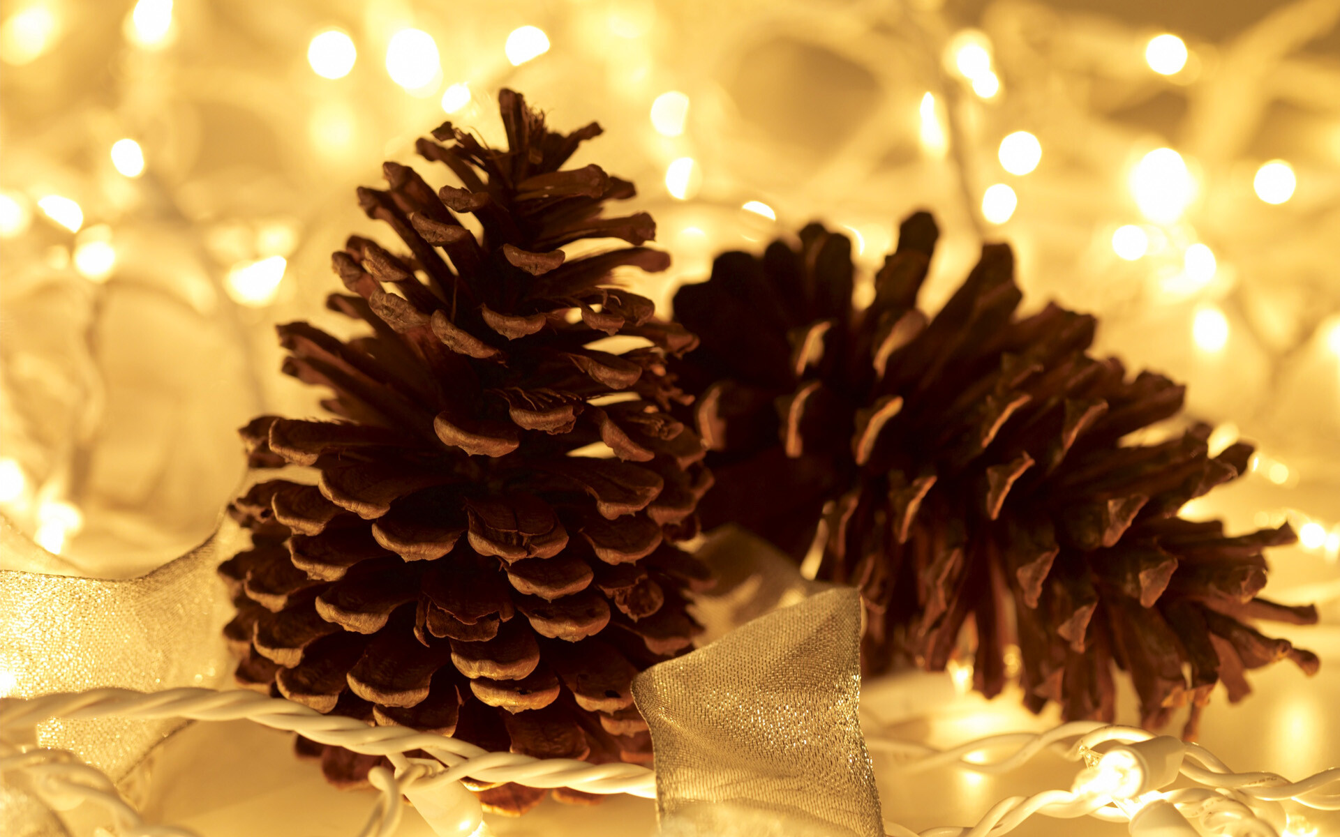 Pine cones amongst fairy lights, Festive atmosphere, Rustic decorations, Wallpaper inspiration, 1920x1200 HD Desktop