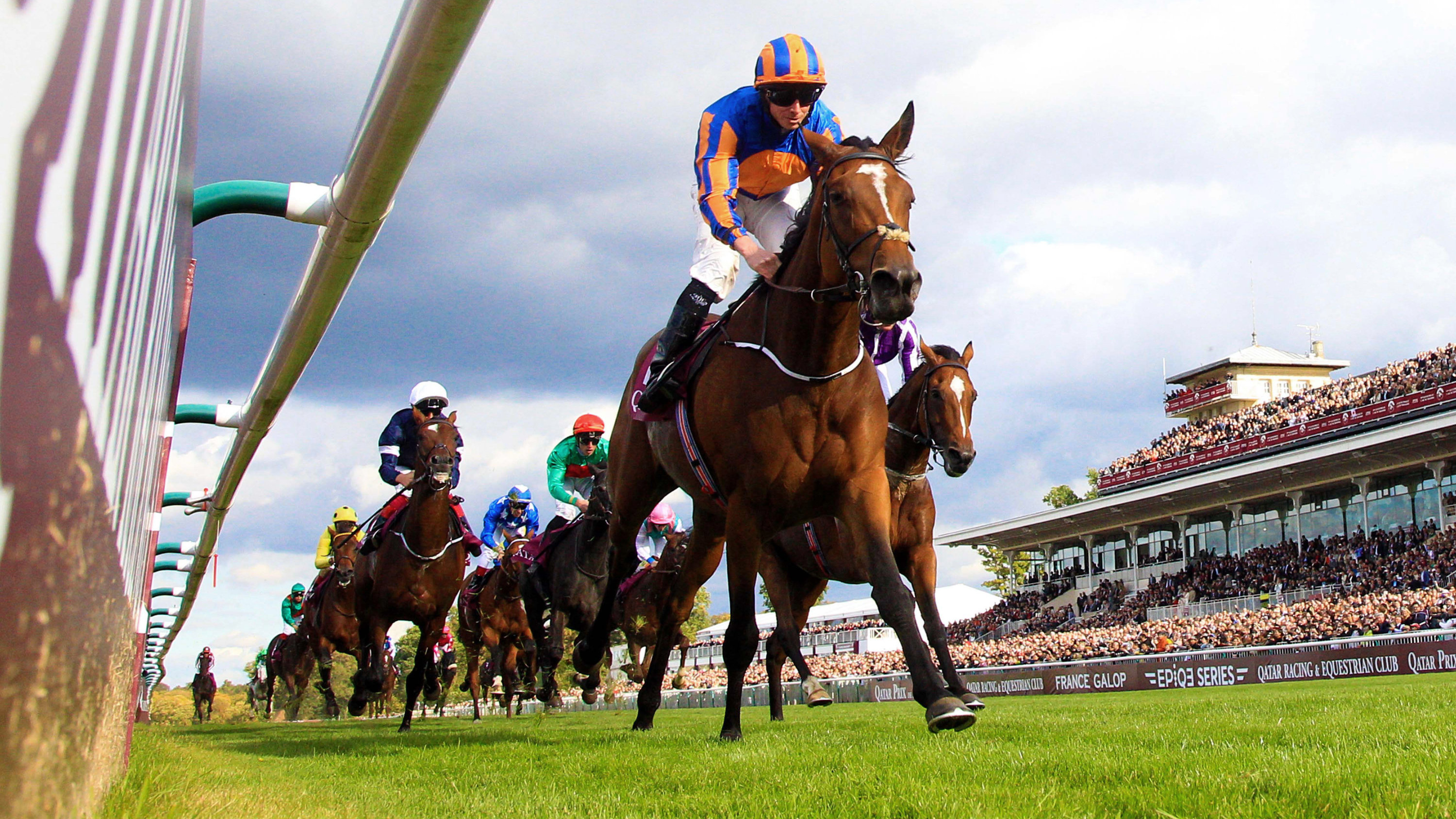 Horse Racing, Prix de l'Arc de Triomphe, French horse race, Prestigious event, 3000x1690 HD Desktop