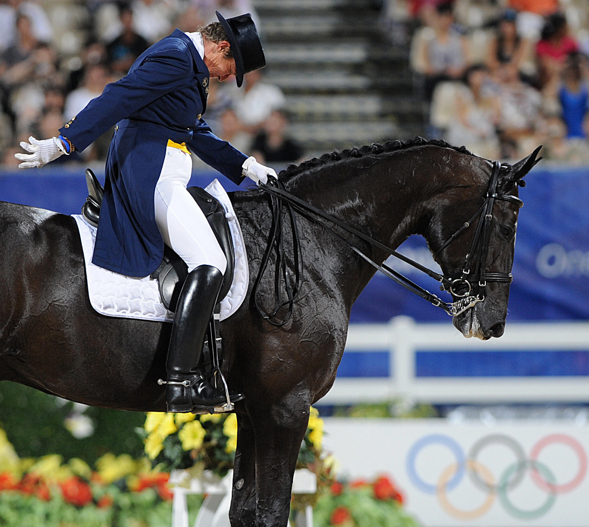 Emile Faurie, Dressage Wallpaper, 2050x1840 HD Desktop