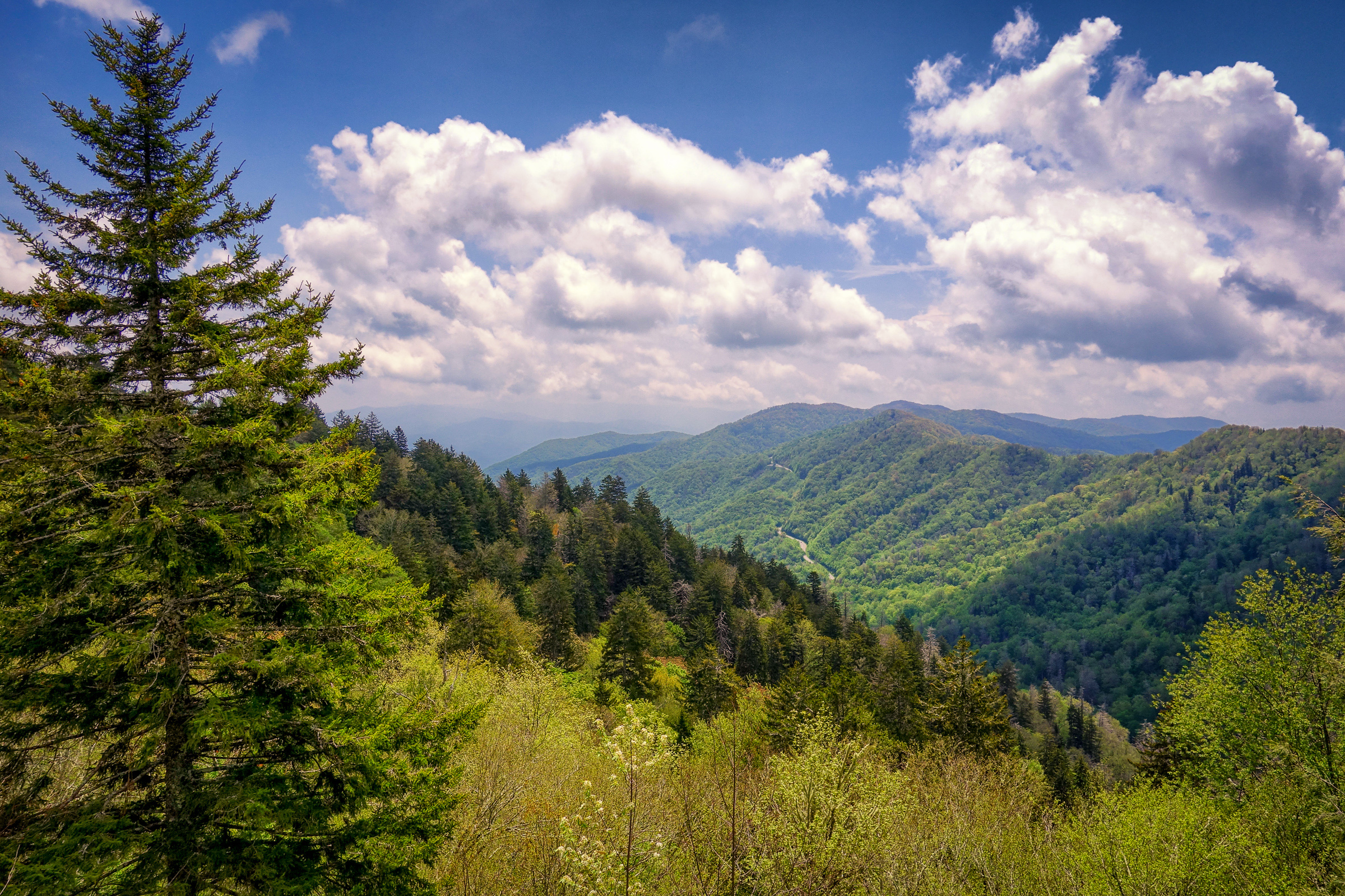 Newfound Gap, Great Smoky Mountains National Park Wallpaper, 2400x1600 HD Desktop