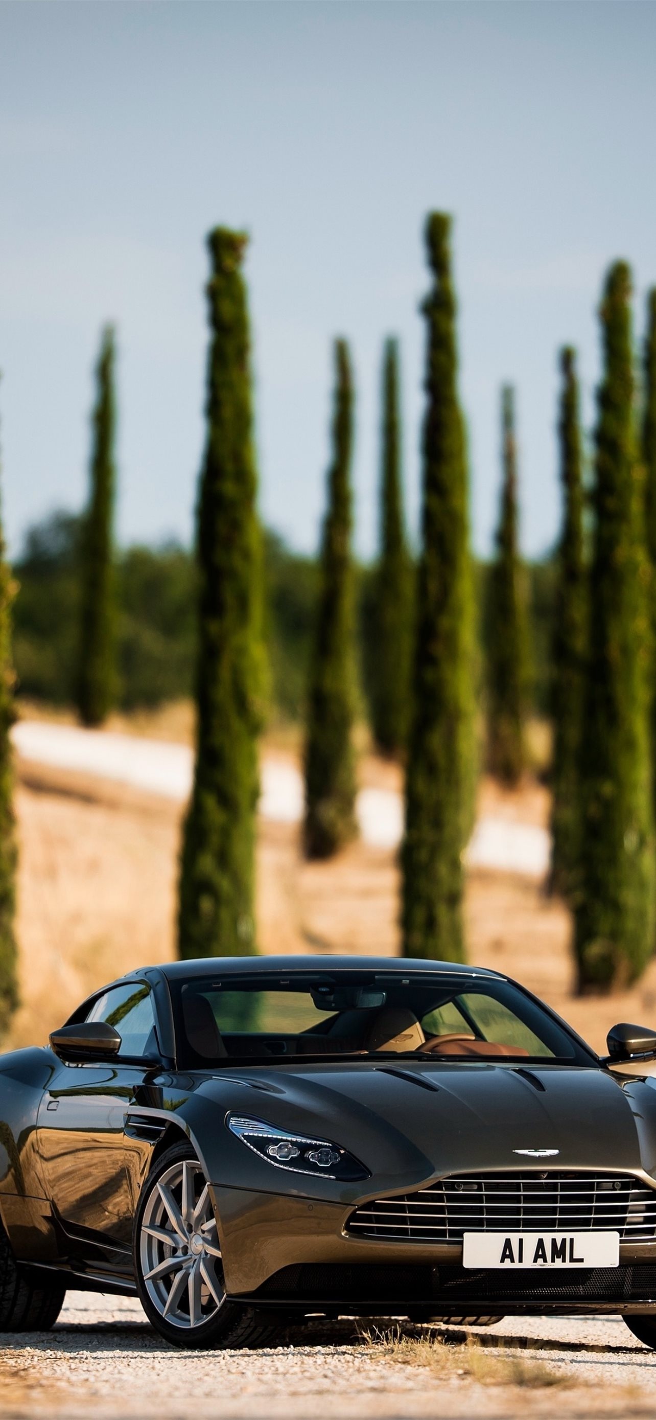 Aston Martin DB11, Brown front view, Sport cars, iPhone, 1290x2780 HD Phone