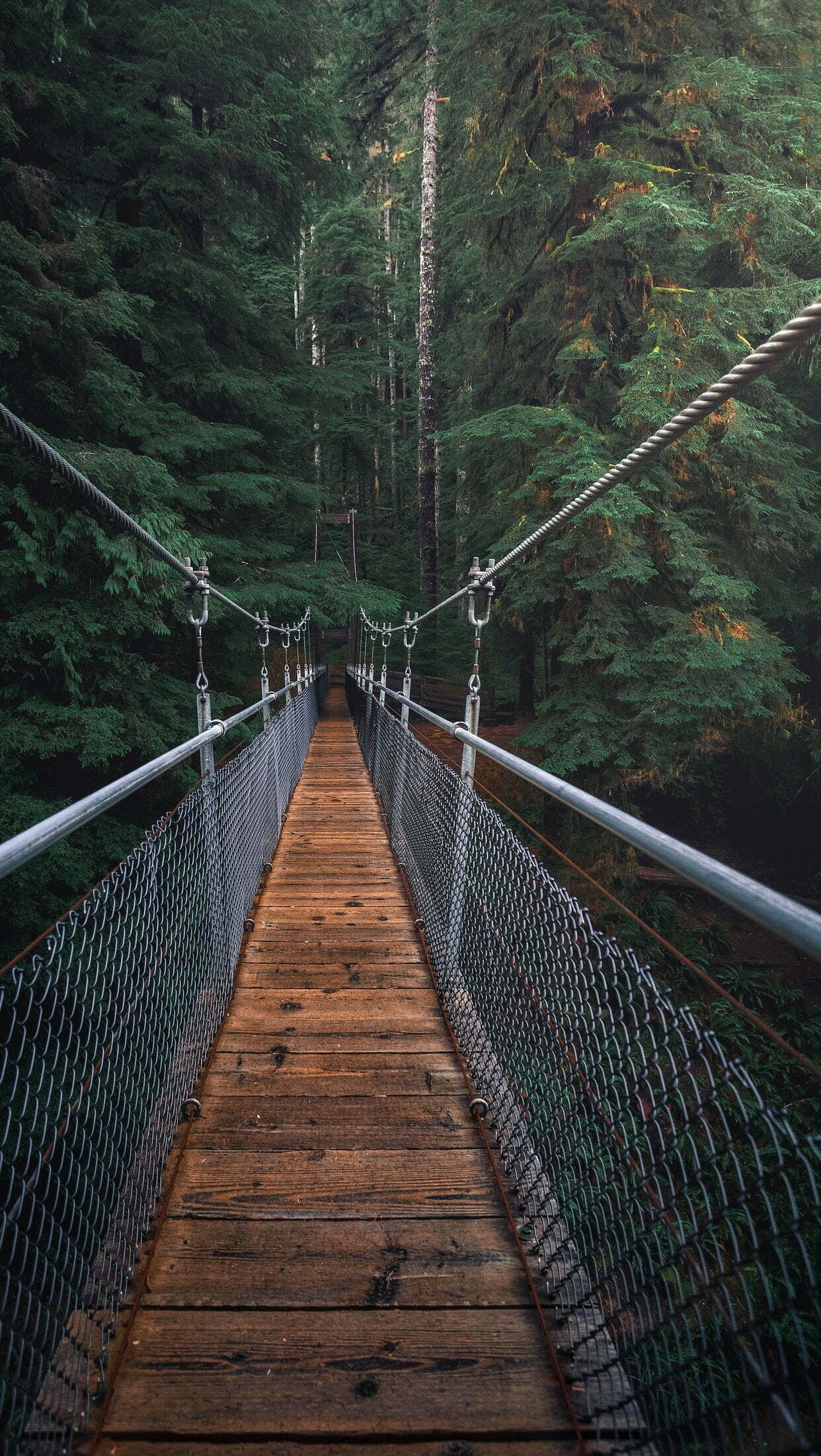 Travels, Bridge, Hanging Bridge, iPhone 12, 1250x2210 HD Phone