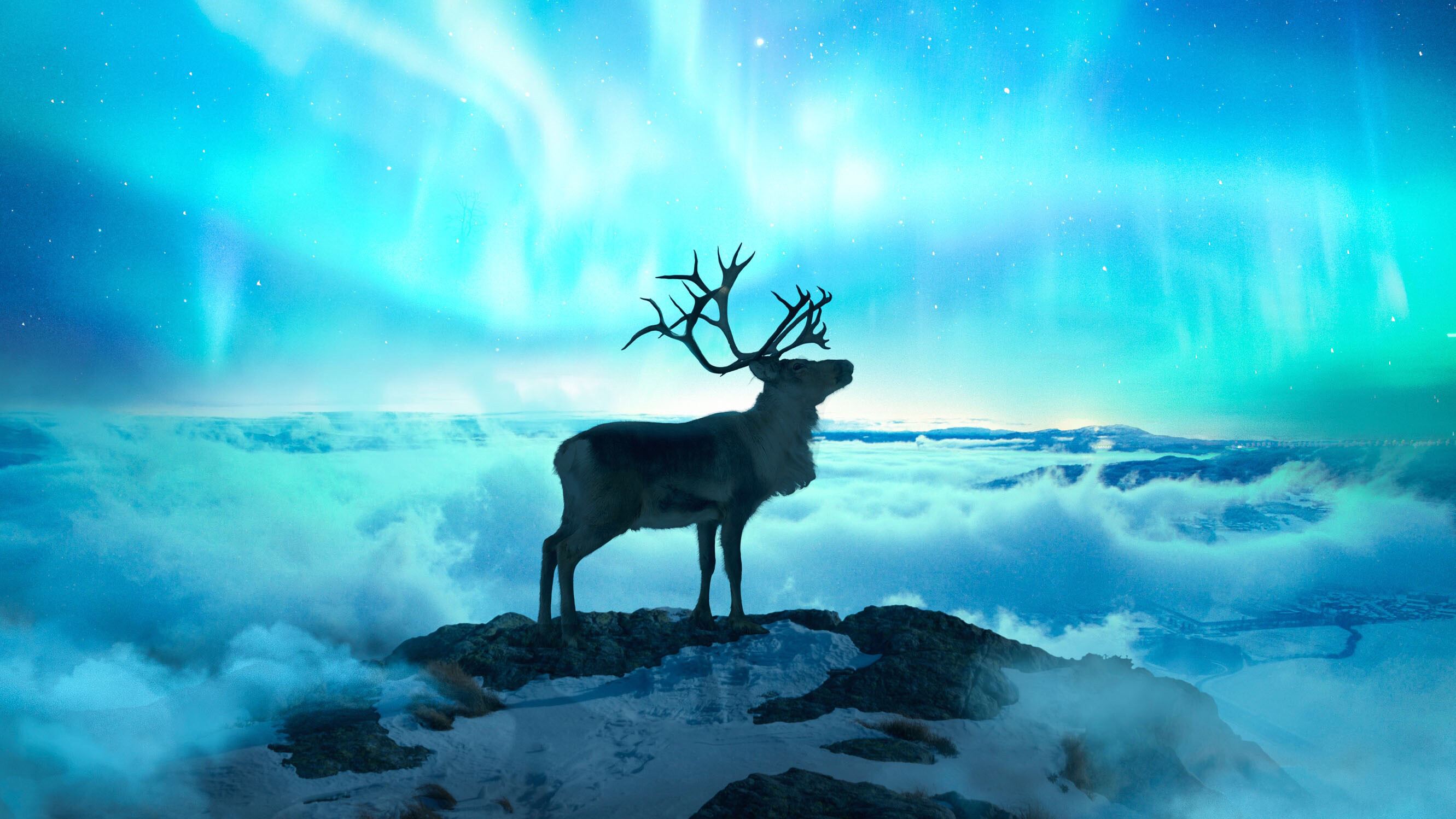 Northern lights, Reindeers Wallpaper, 2670x1500 HD Desktop