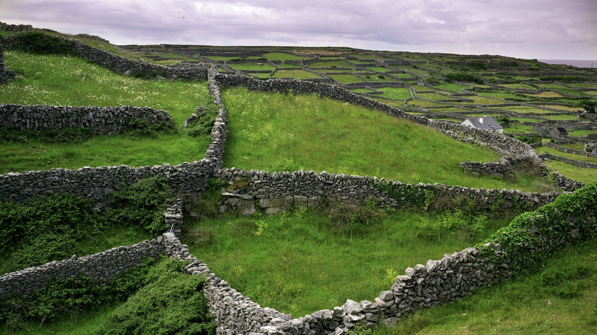 Dun Conor, Ireland Wallpaper, 1920x1080 Full HD Desktop