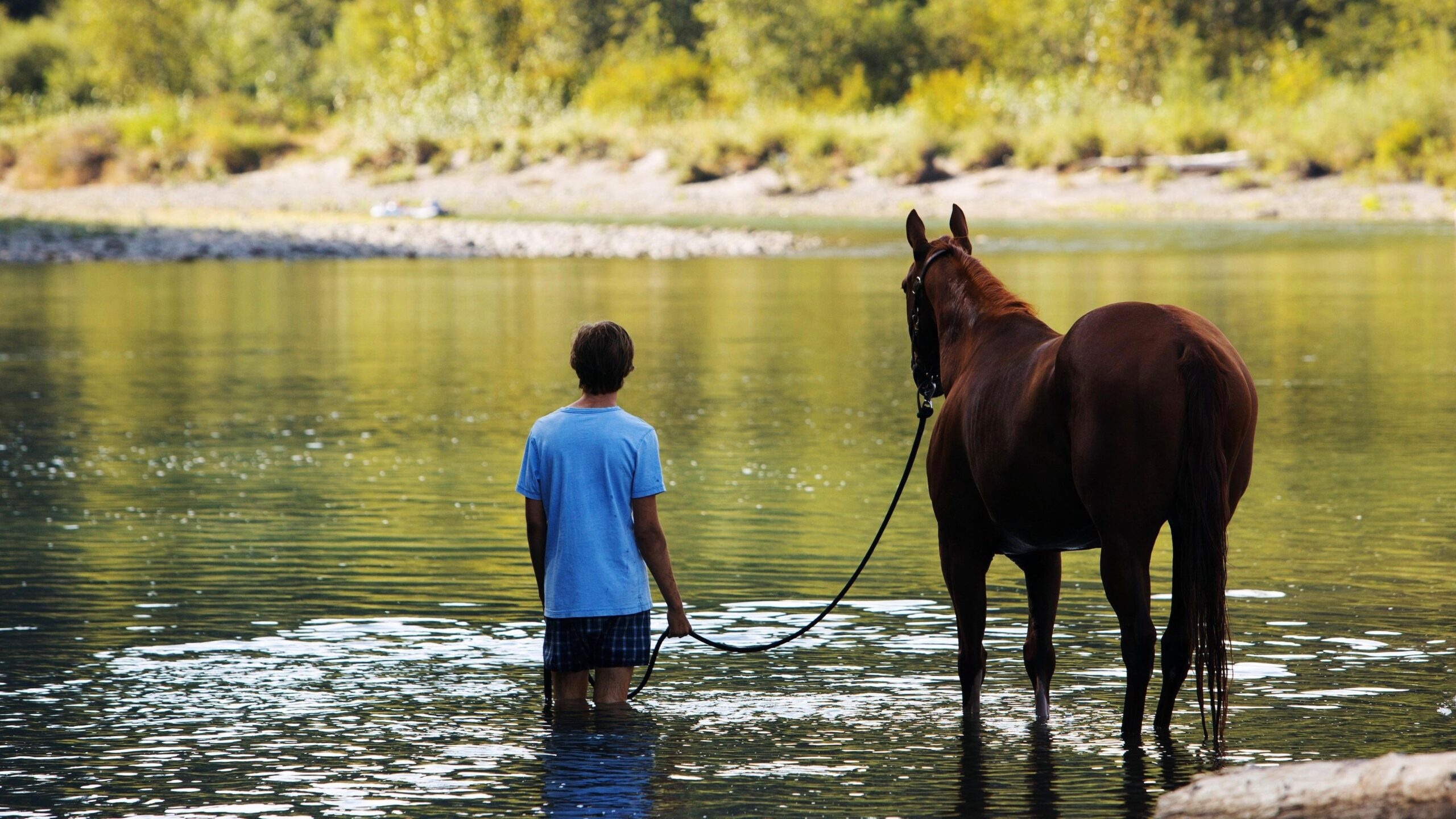 Lean on Pete, Heartfelt drama, Story of resilience, Pursuit of a better future, 2560x1440 HD Desktop