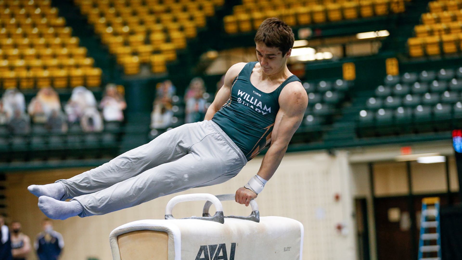 Andrew Lyubovsky, Pommel Horse (Gymnastics) Wallpaper, 1920x1080 Full HD Desktop