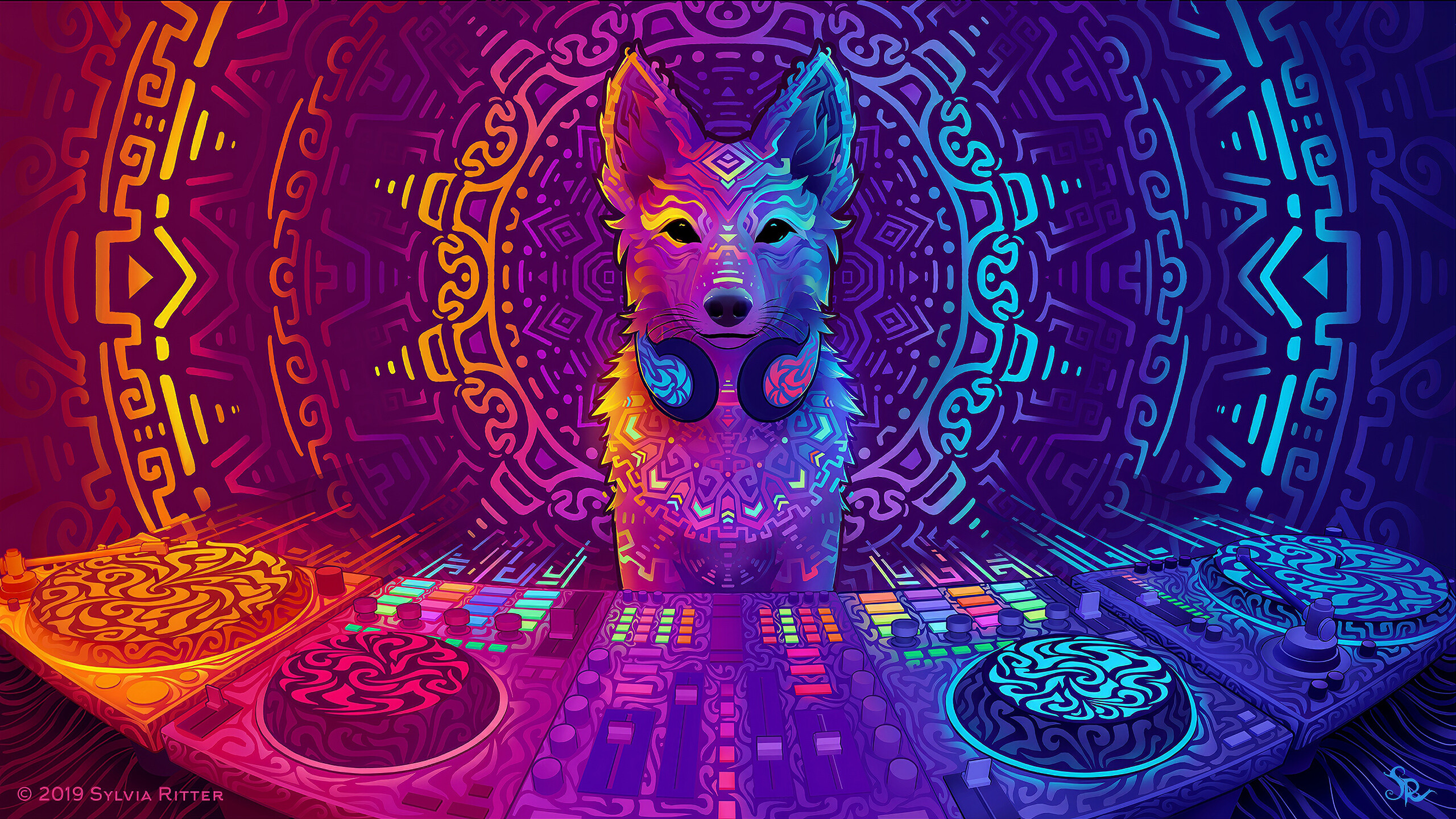 Disco dingo dog, 4K wallpapers, 2560x1440 HD Desktop