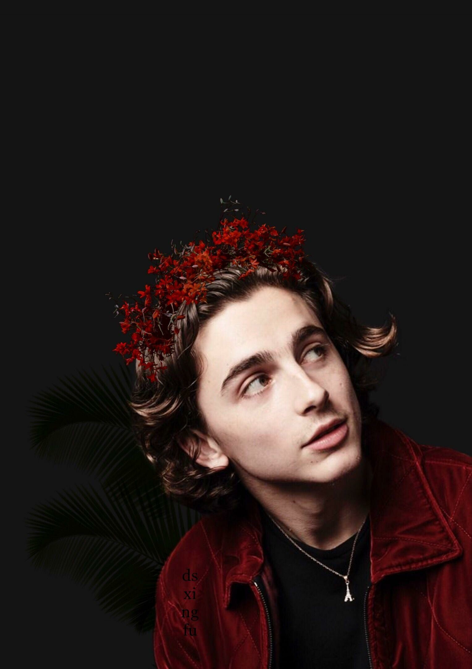 Timothee Chalamet, Aesthetic wallpapers, Celebs, 1530x2170 HD Phone