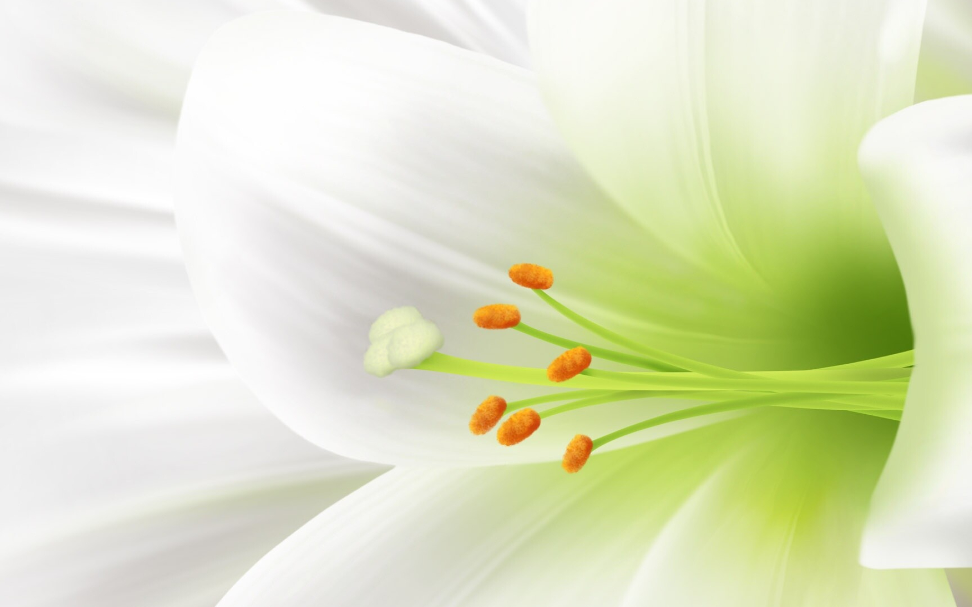 Lily wallpaper, Ryan Thompson, High quality, Nature, 1920x1200 HD Desktop