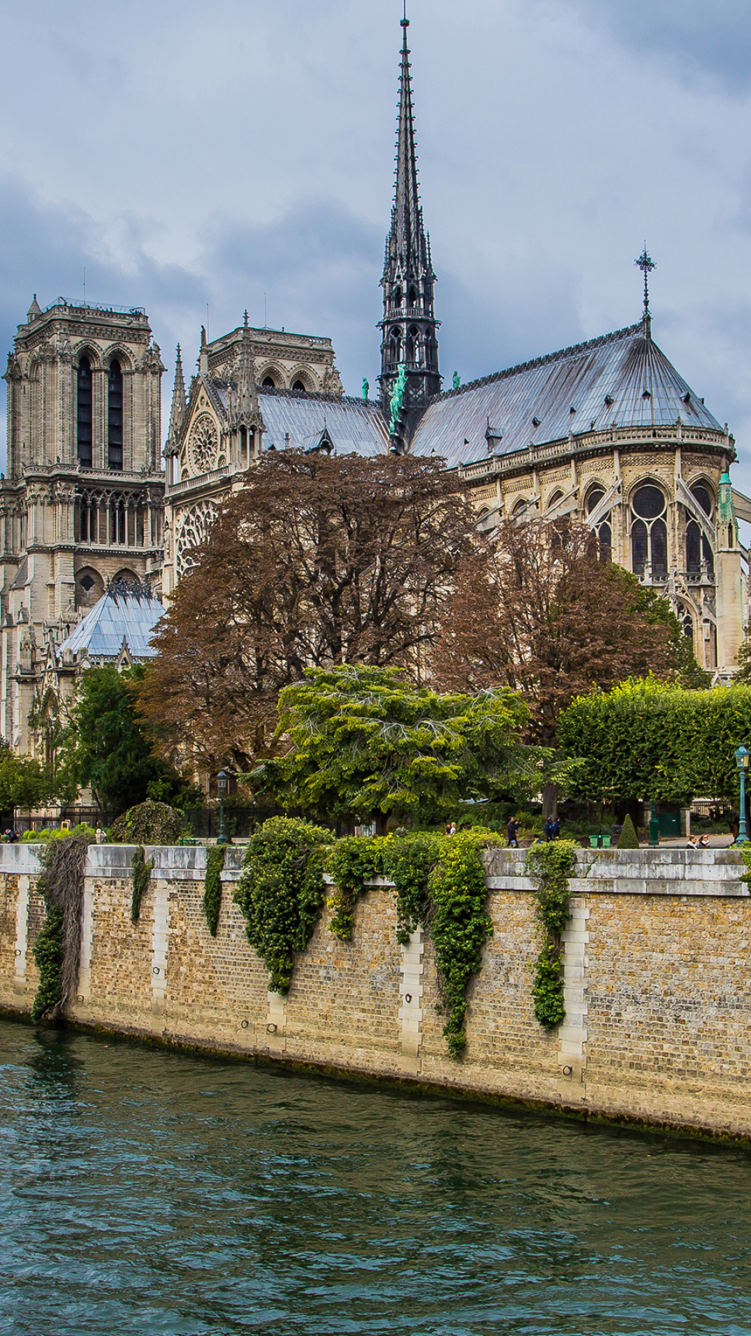 Notre-Dame Cathedral, Travels, Parisian beauty, Striking wallpapers, 1080x1920 Full HD Phone