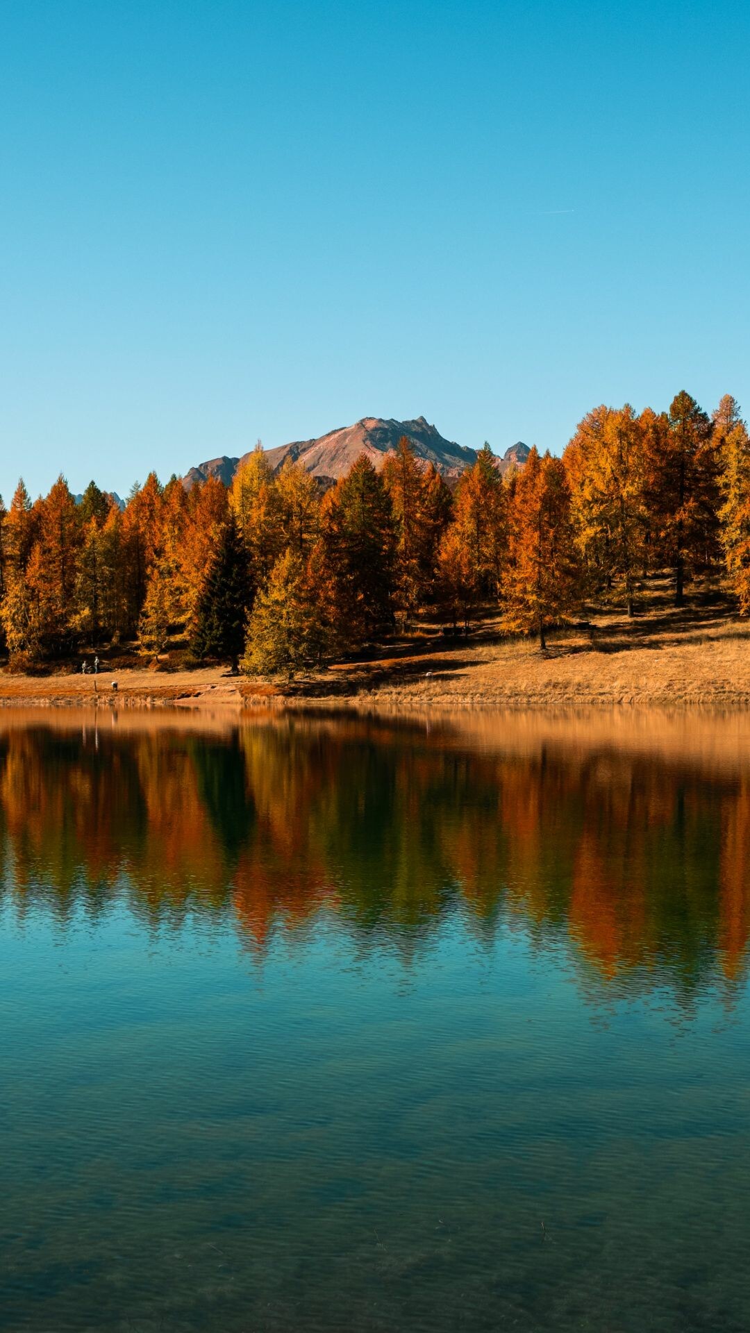 Forest Lake, Lakes Wallpaper, 1080x1920 Full HD Phone