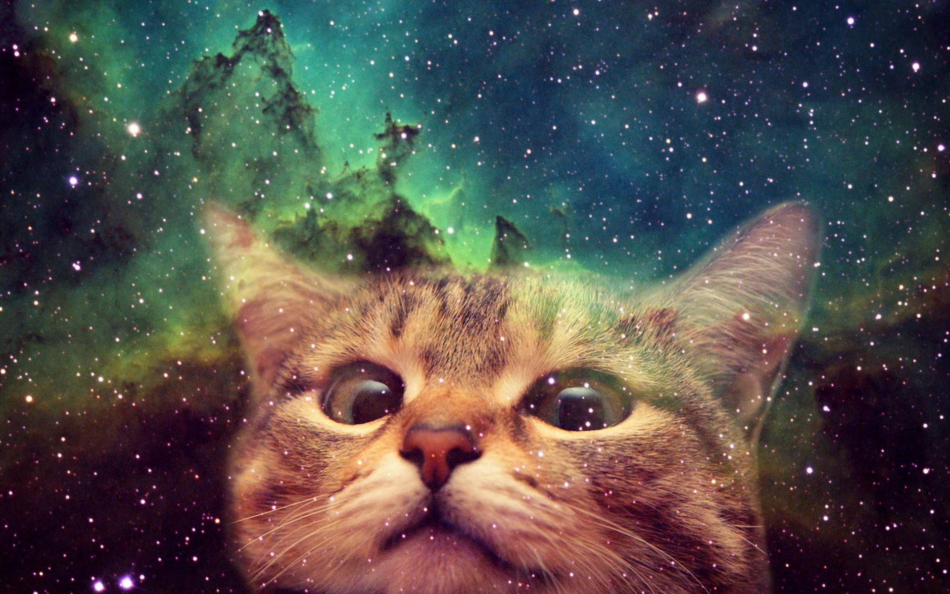 Galaxy Cat, Cool wallpapers, Cosmic vibes, Whimsical art, 1920x1200 HD Desktop