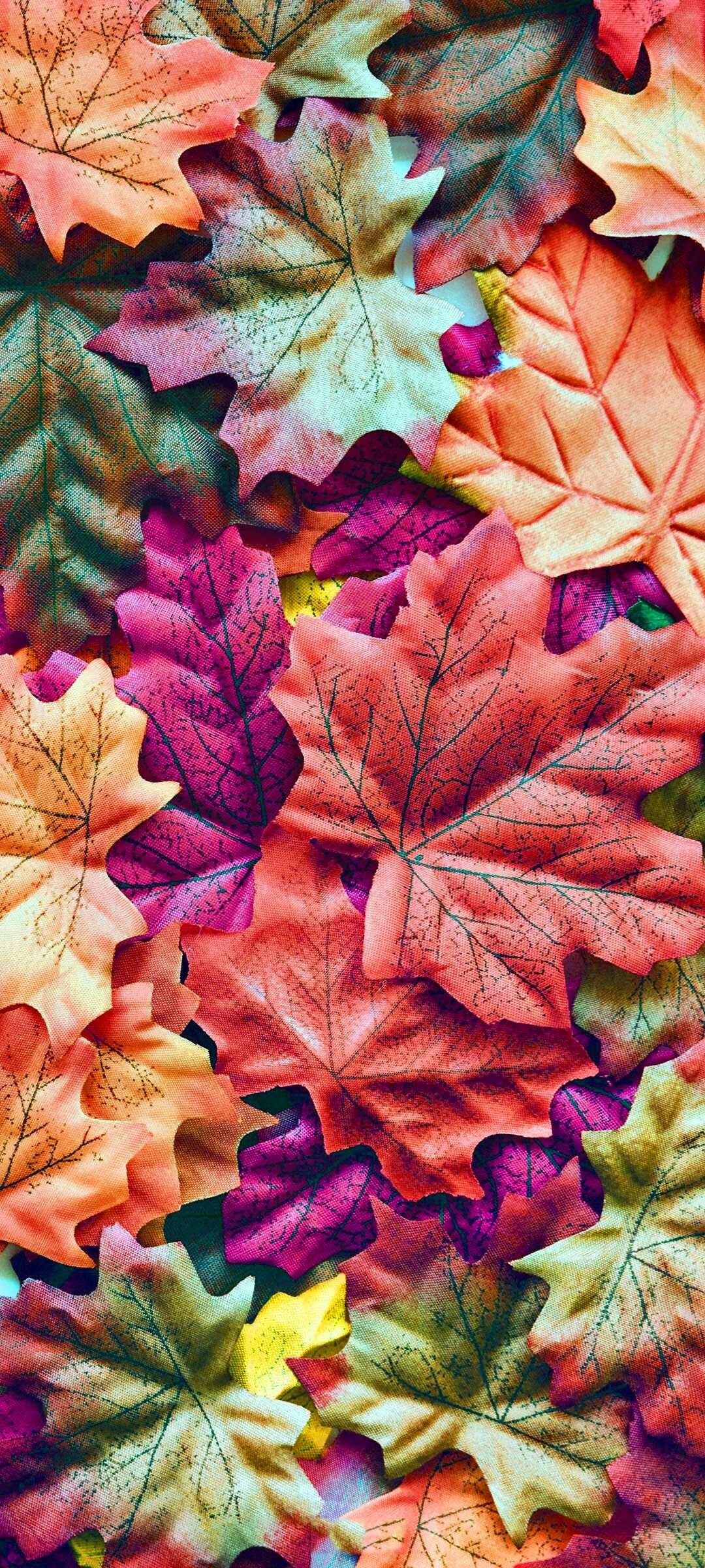 Leaves wallpaper, Natural beauty, HD wallpapers, Desktop background, 1080x2400 HD Phone