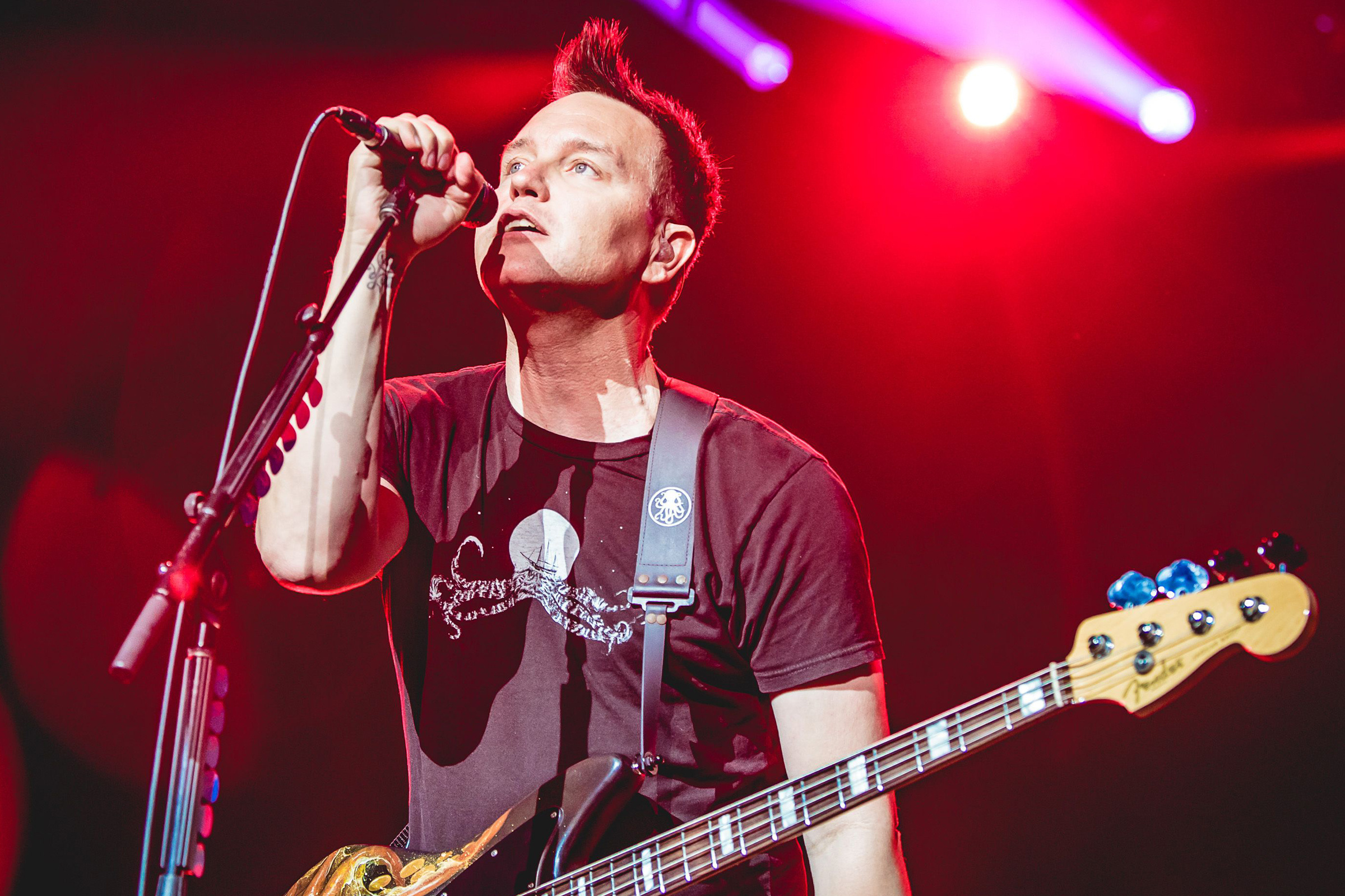 Mark Hoppus, blink 182 guitarist, decade reflection, 2400x1600 HD Desktop