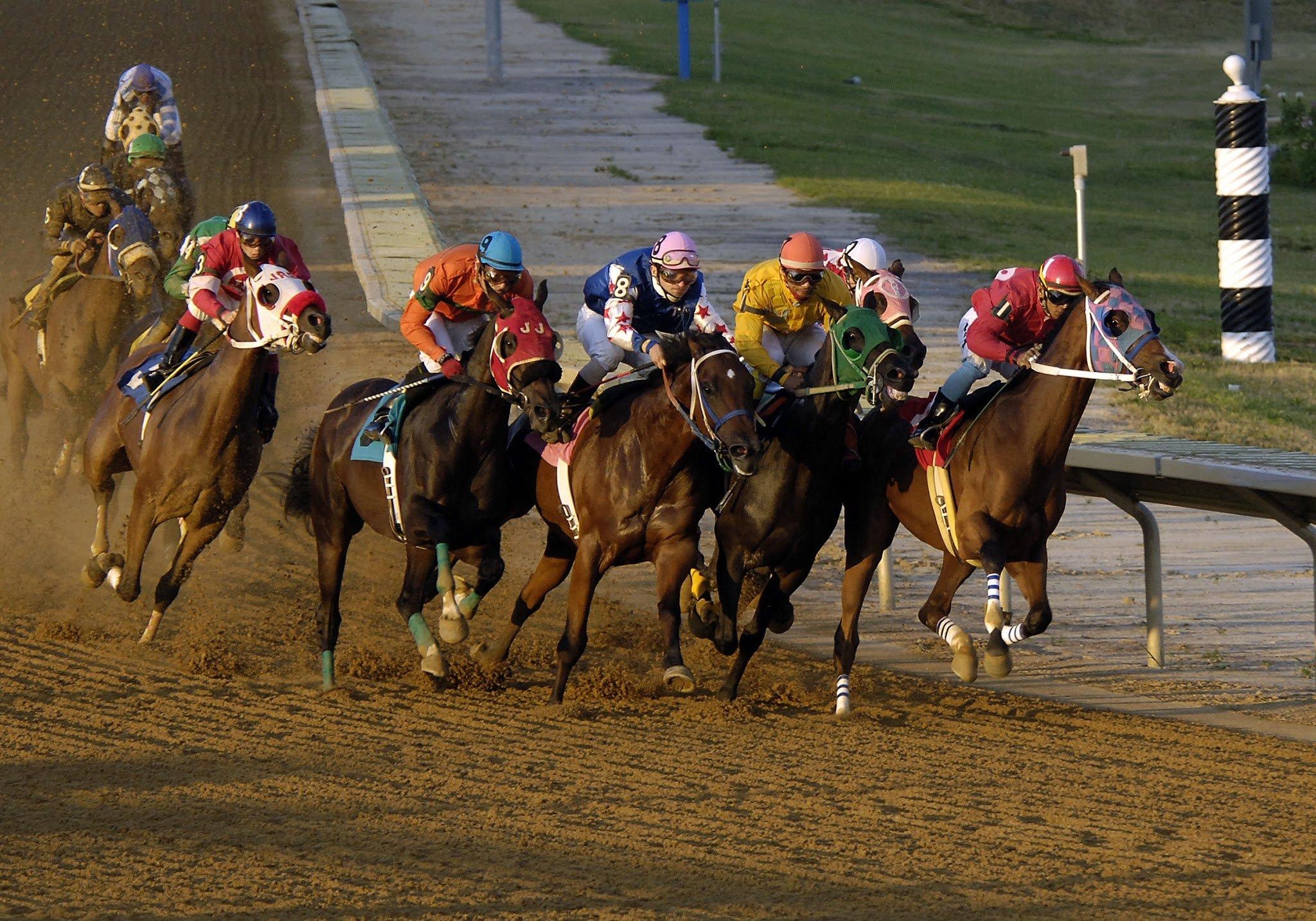 Horse racing, Breath-taking moments, Racing wallpapers, Hoofbeats, 2050x1440 HD Desktop