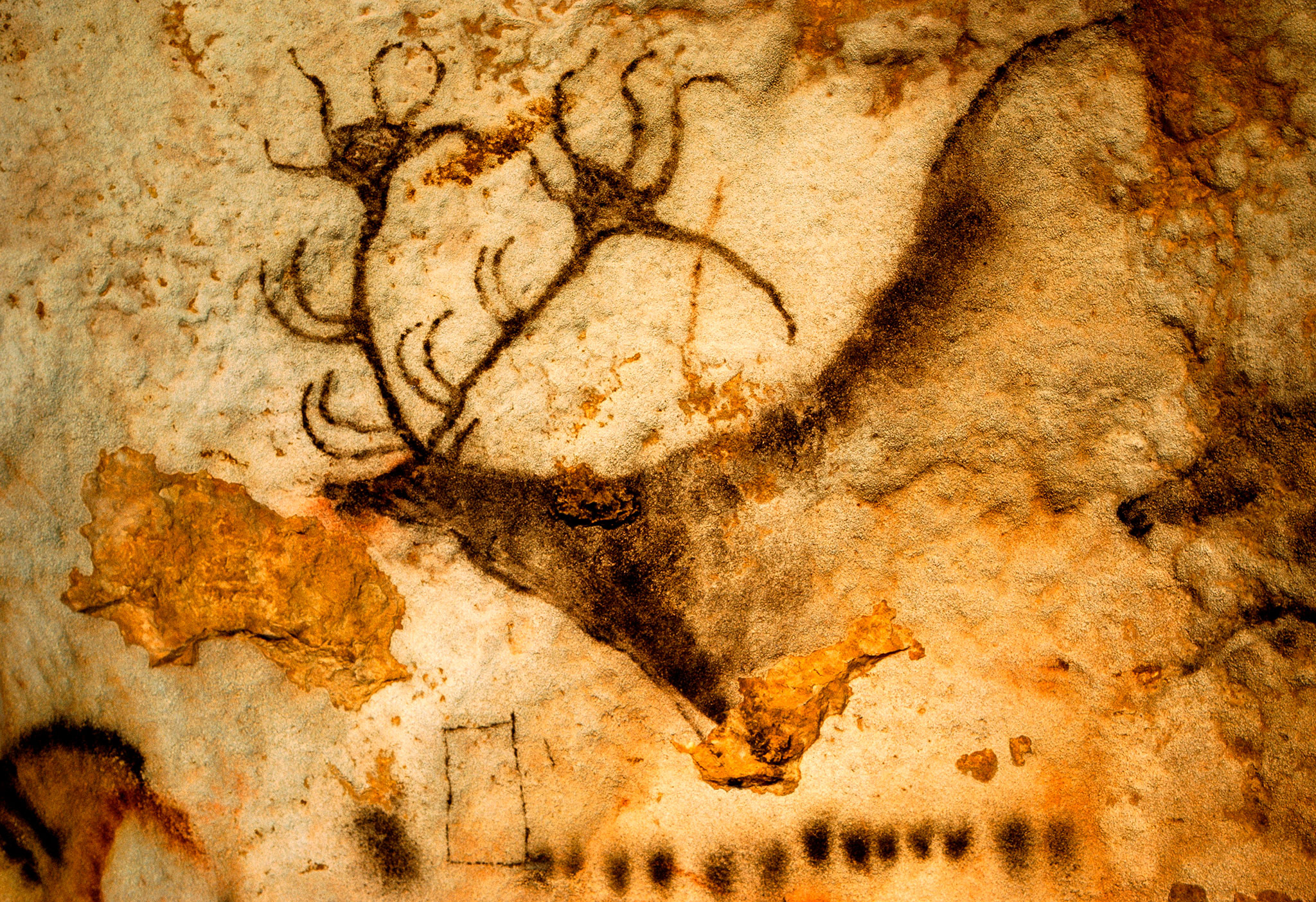 Deer, Lascaux (France) Wallpaper, 2050x1410 HD Desktop