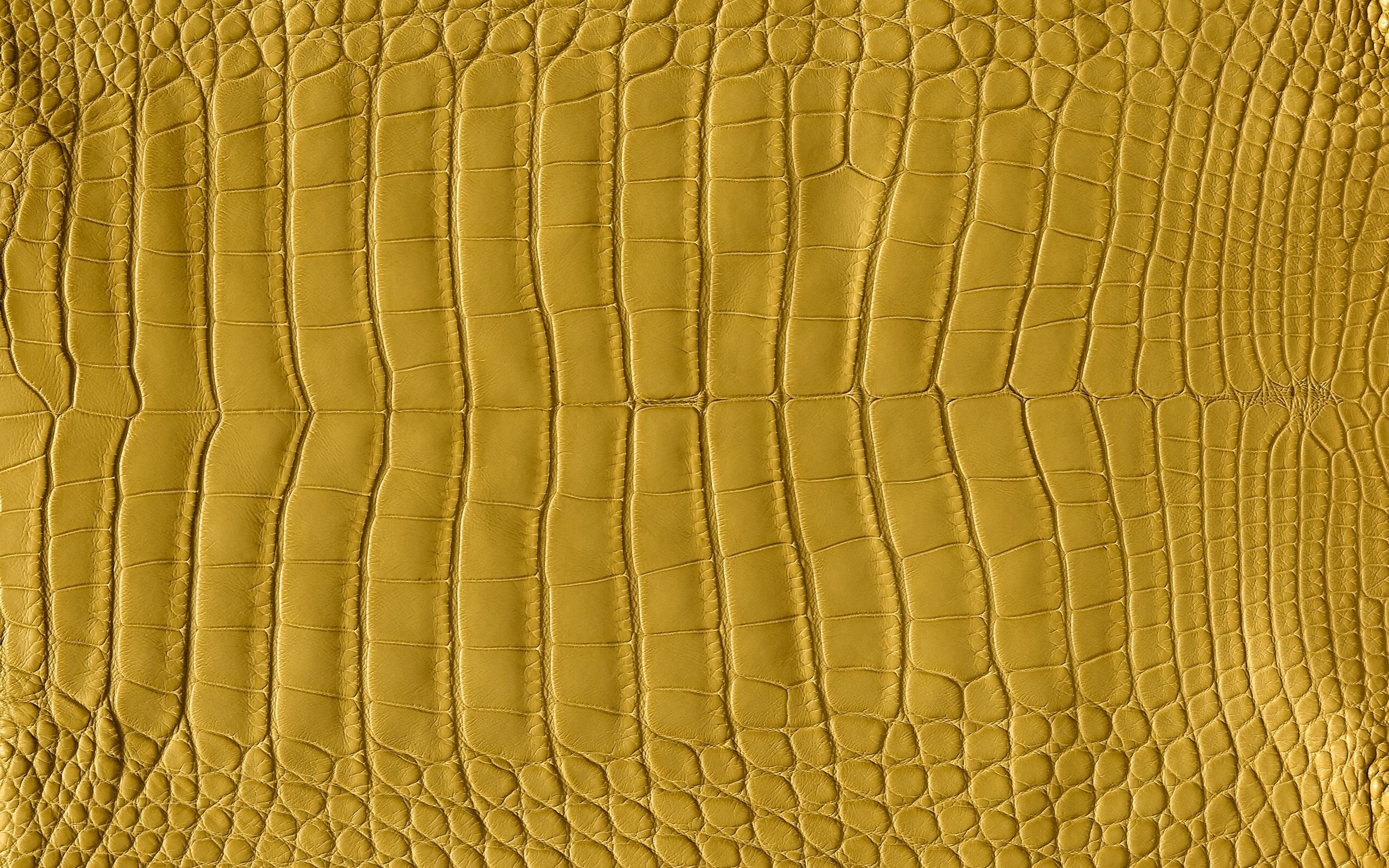 Hermes, Alligator Leather, Beautiful Leather, Crocodile Skin, 2560x1600 HD Desktop