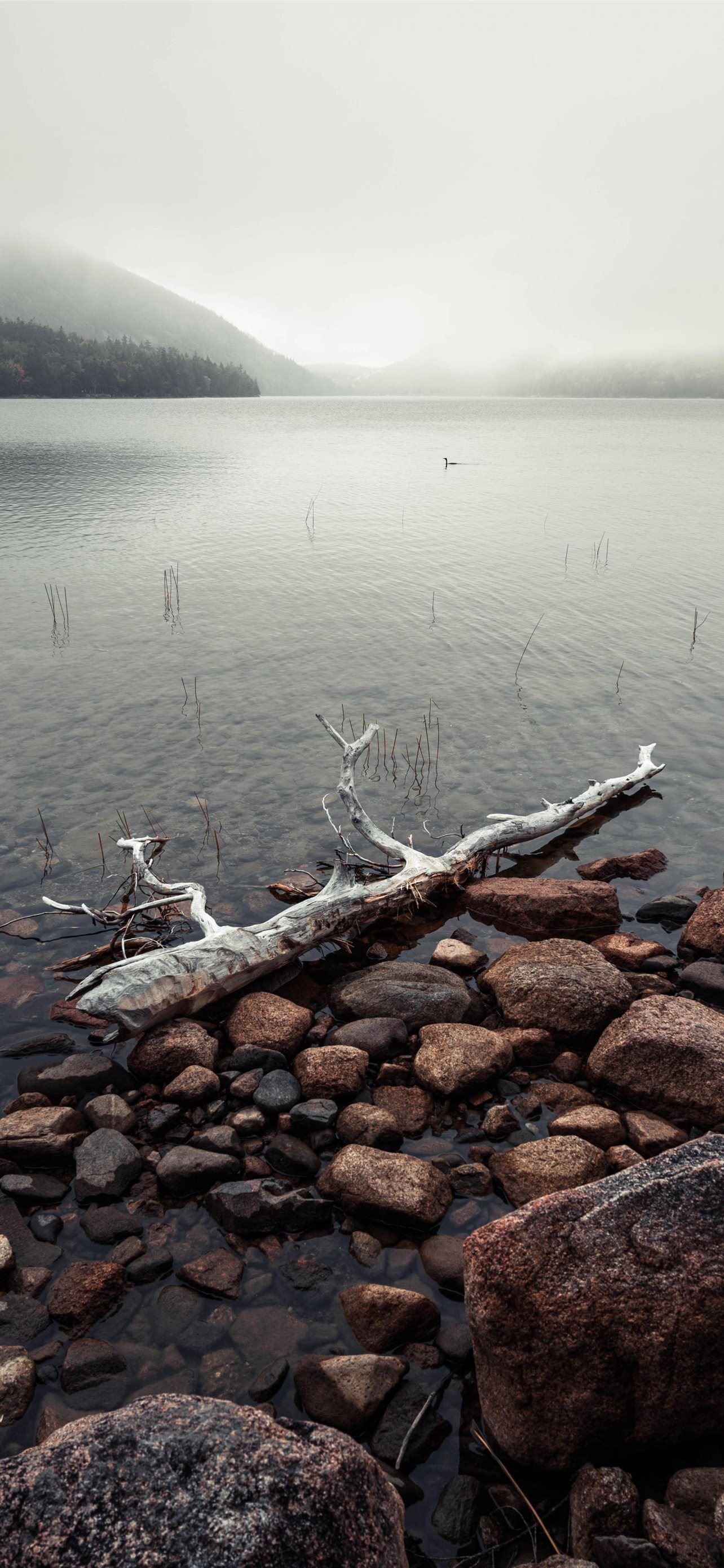 Acadia National Park, Best iPhone wallpapers, Travels, HD, 1290x2780 HD Phone