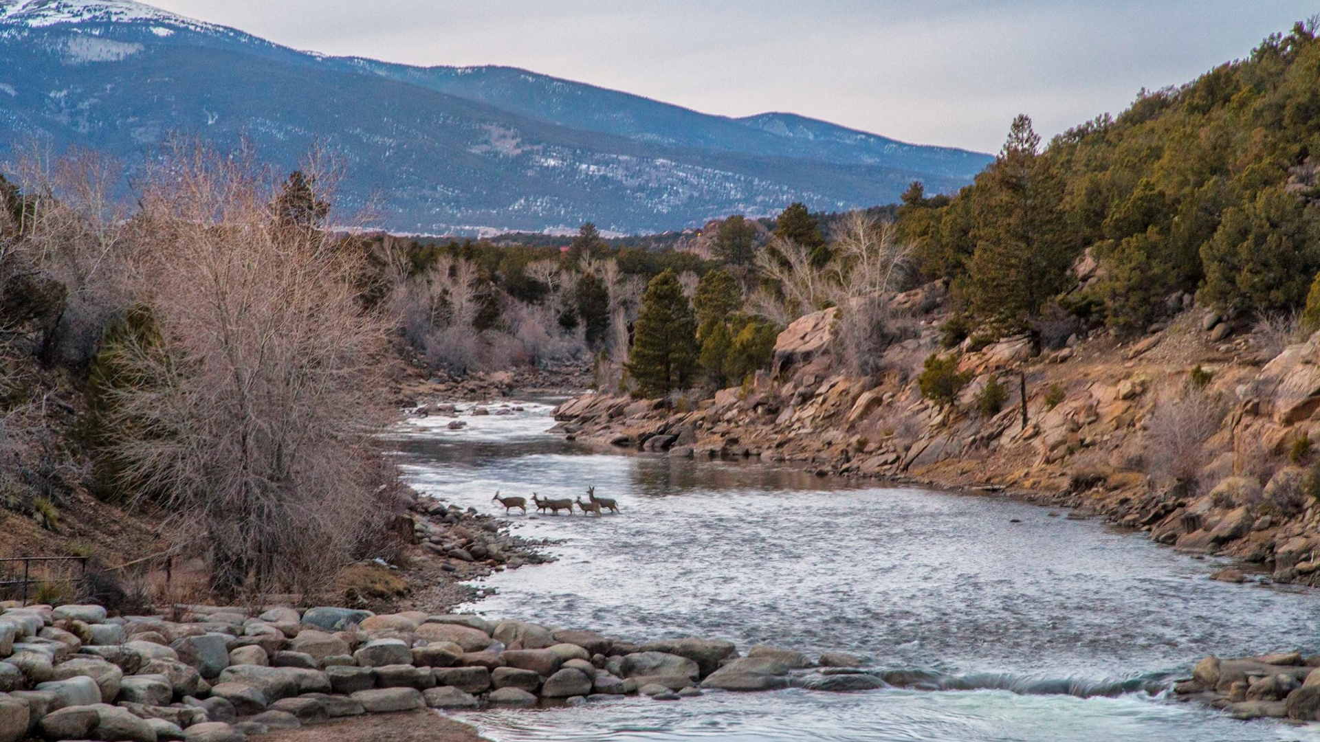 Arkansas River, Foggy weather, Denver commuters, 1920x1080 Full HD Desktop