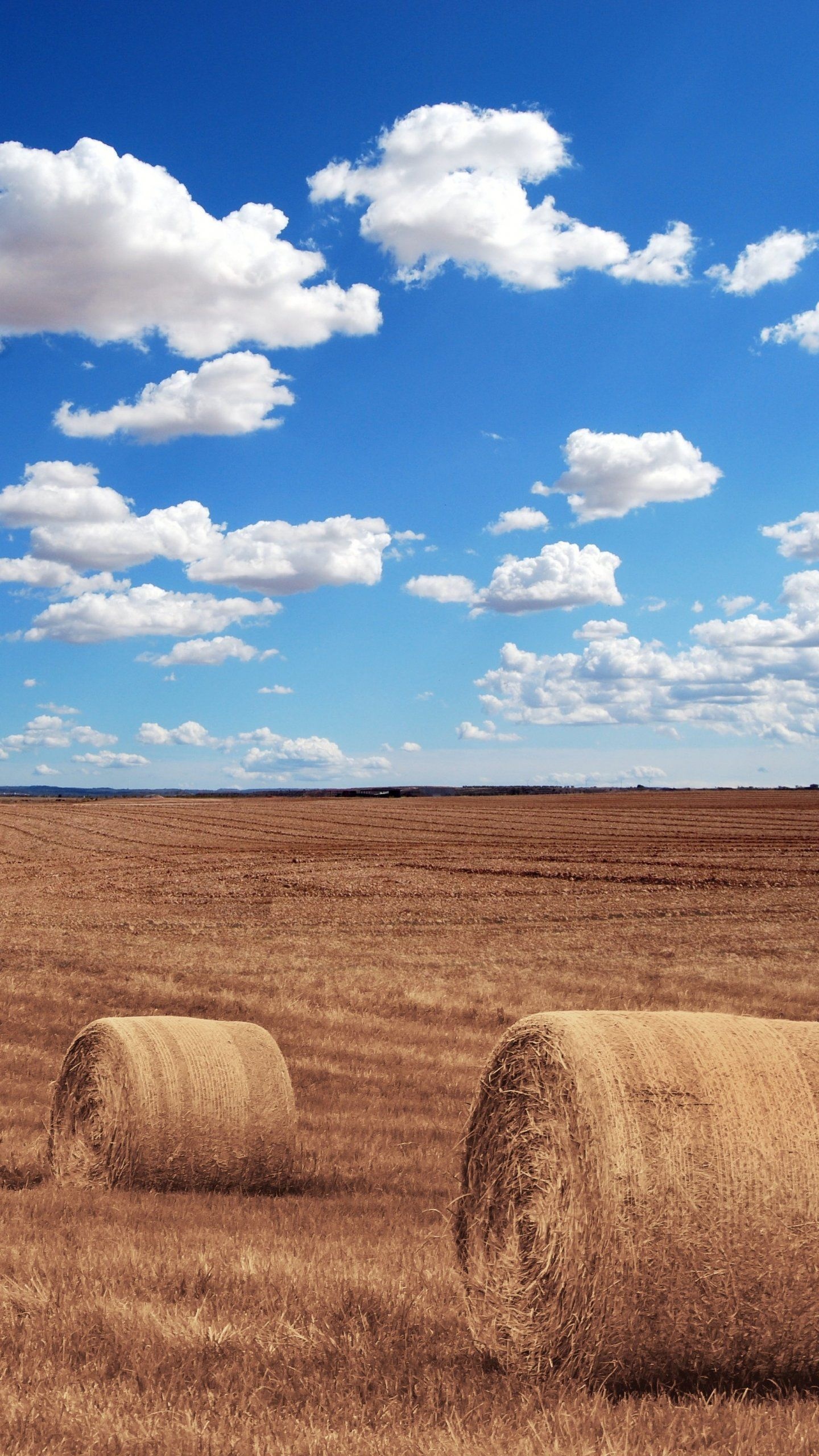 Hay bales in field, Scenic wallpaper, Mobile backgrounds, Tranquility, 1440x2560 HD Phone