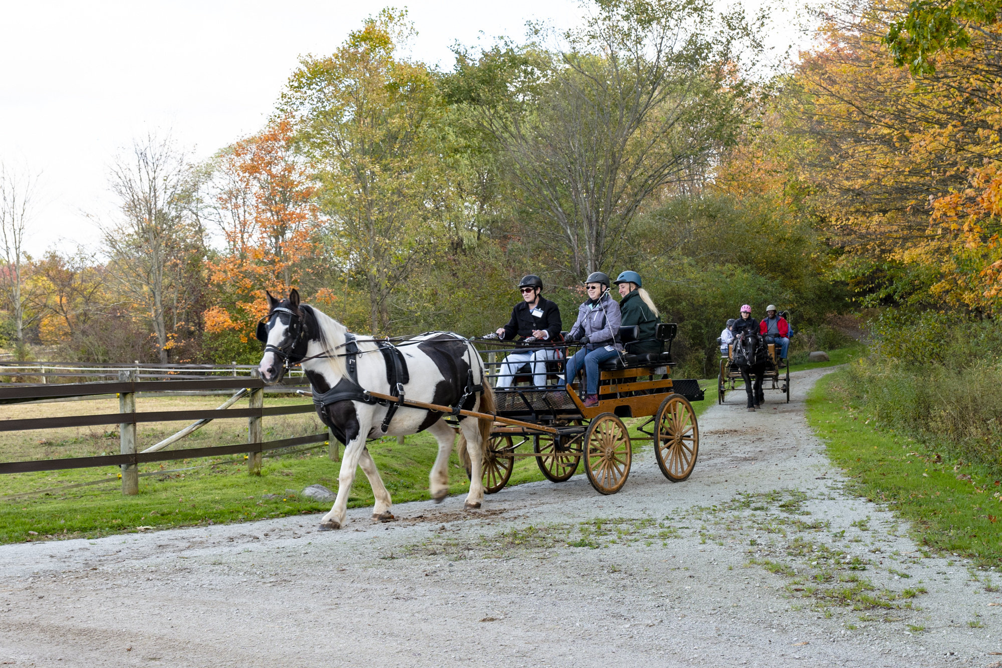 Fieldstone Farm, Carriage Driving Wallpaper, 2000x1340 HD Desktop