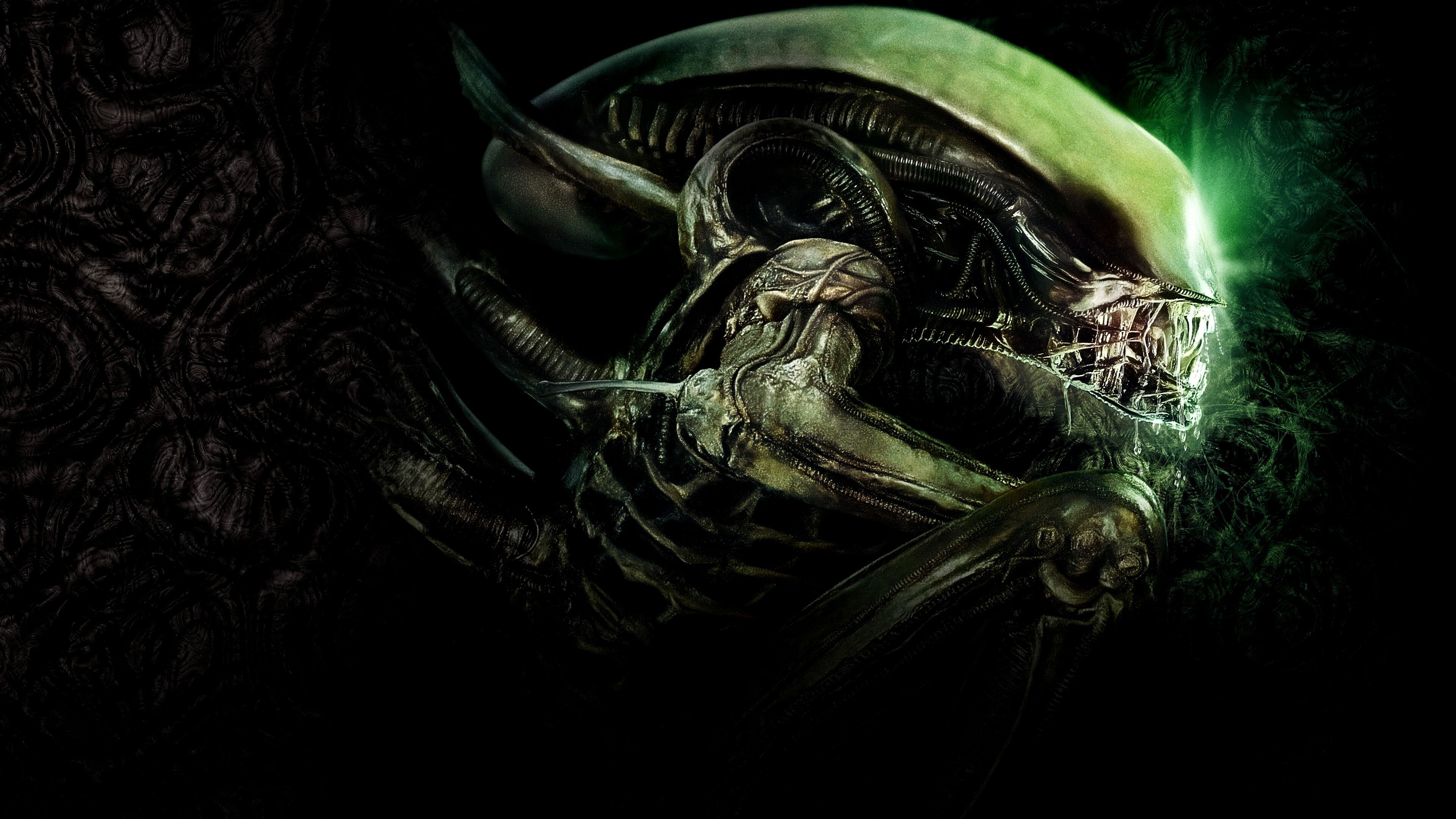 Xenomorph, H.R. Giger Wallpaper, 3840x2160 4K Desktop