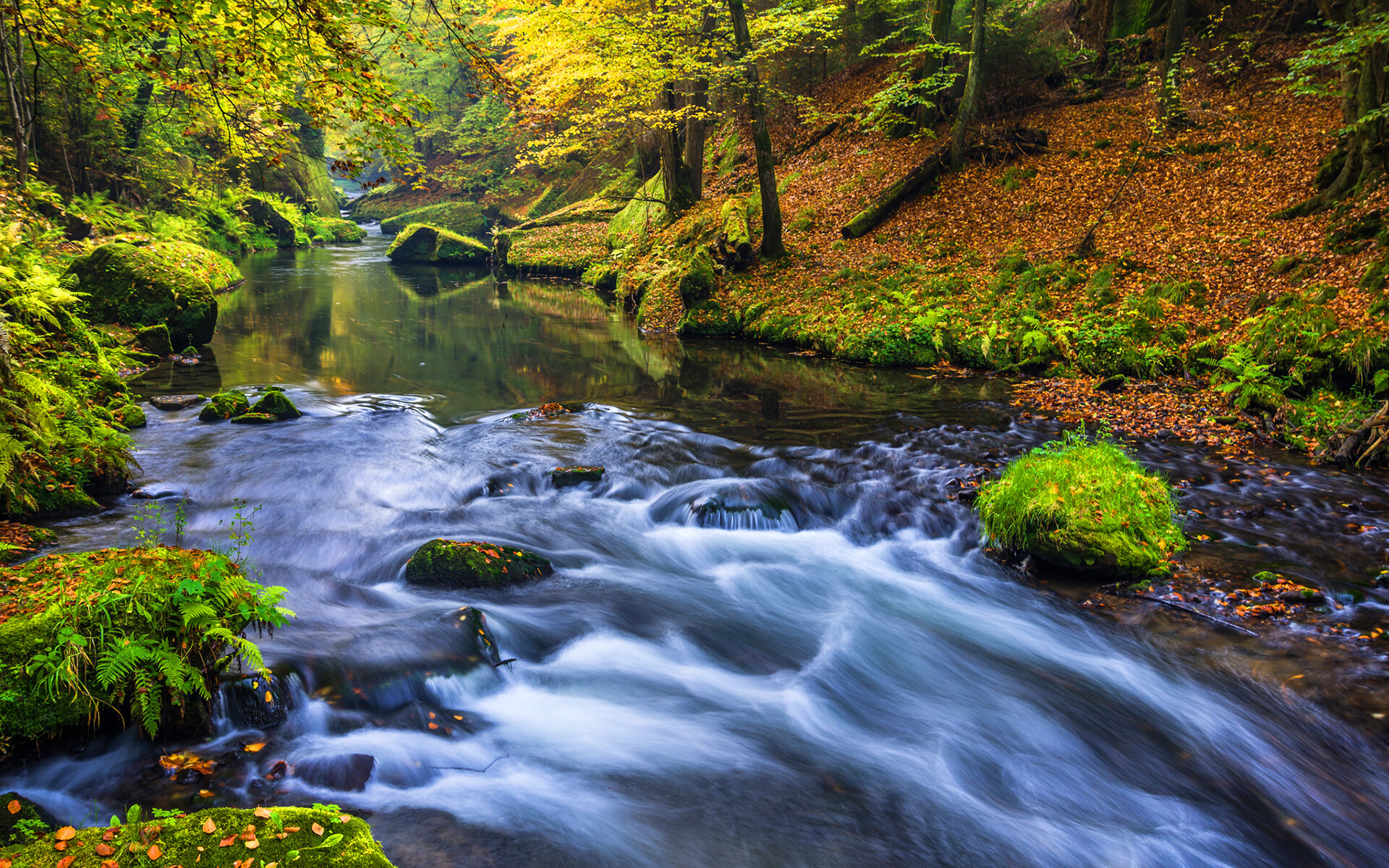 Enchanting forest river, Nature's hidden oasis, Tranquil water escape, Serene wilderness, 1920x1200 HD Desktop