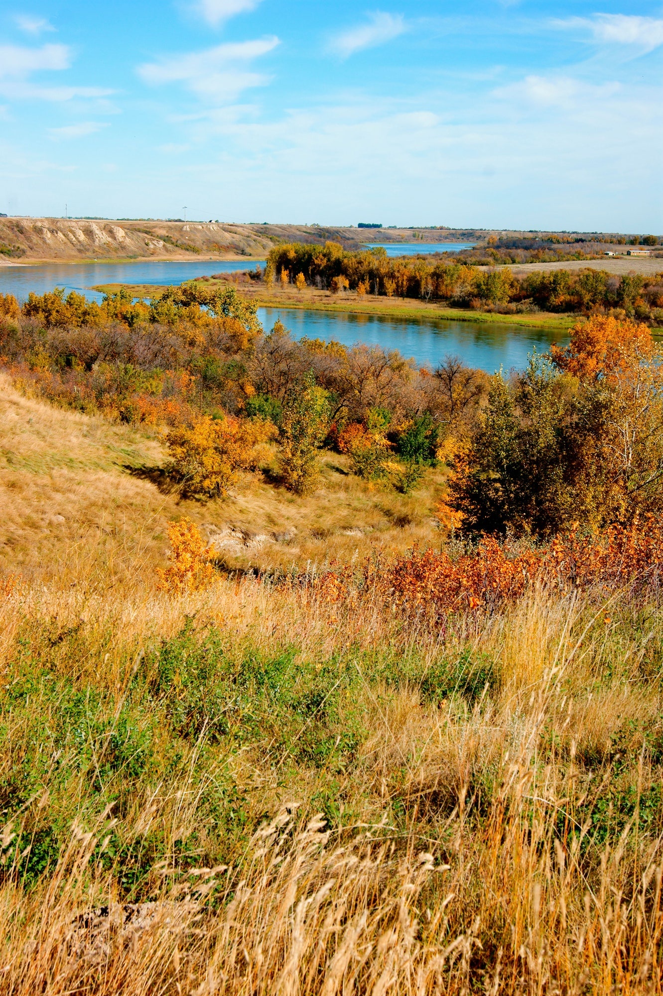 Saskatchewan River, Saskatoon, Winnipeg, Canadian prairies, 1340x2000 HD Phone