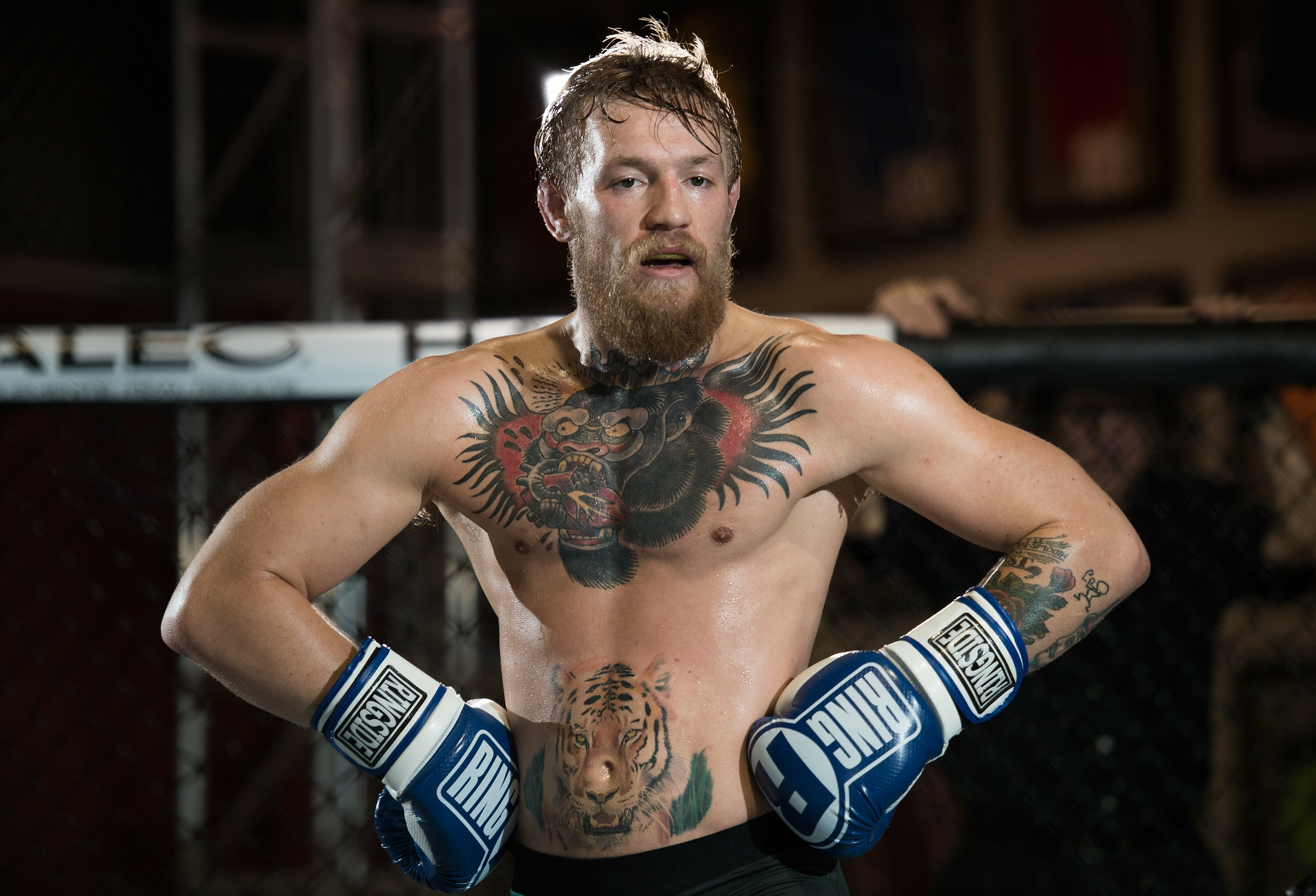 Conor McGregor, Widescreen HD wallpaper, High-resolution image, Bold look, 3000x2050 HD Desktop