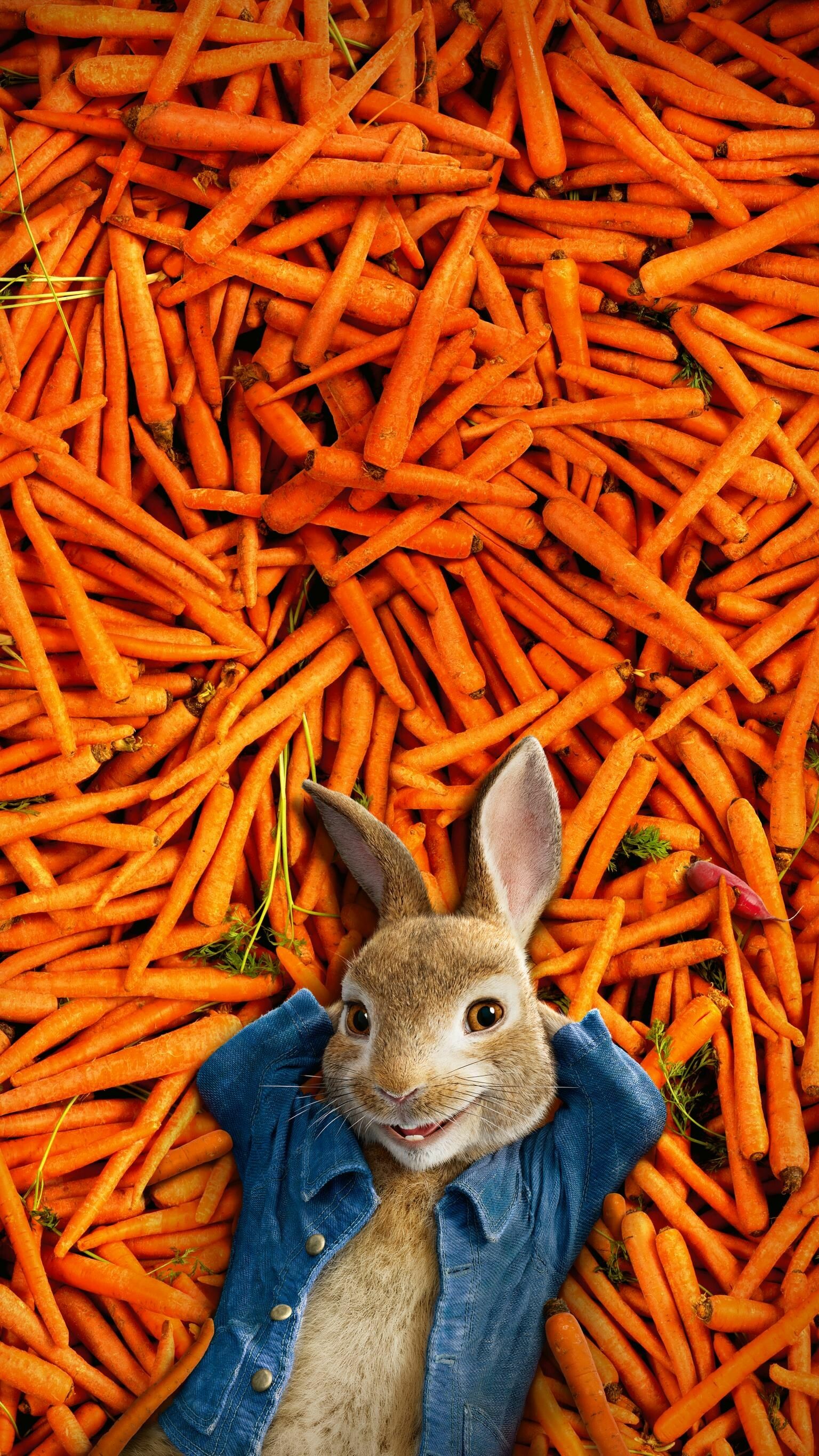 Peter Rabbit 2018, Movie, 1540x2740 HD Phone