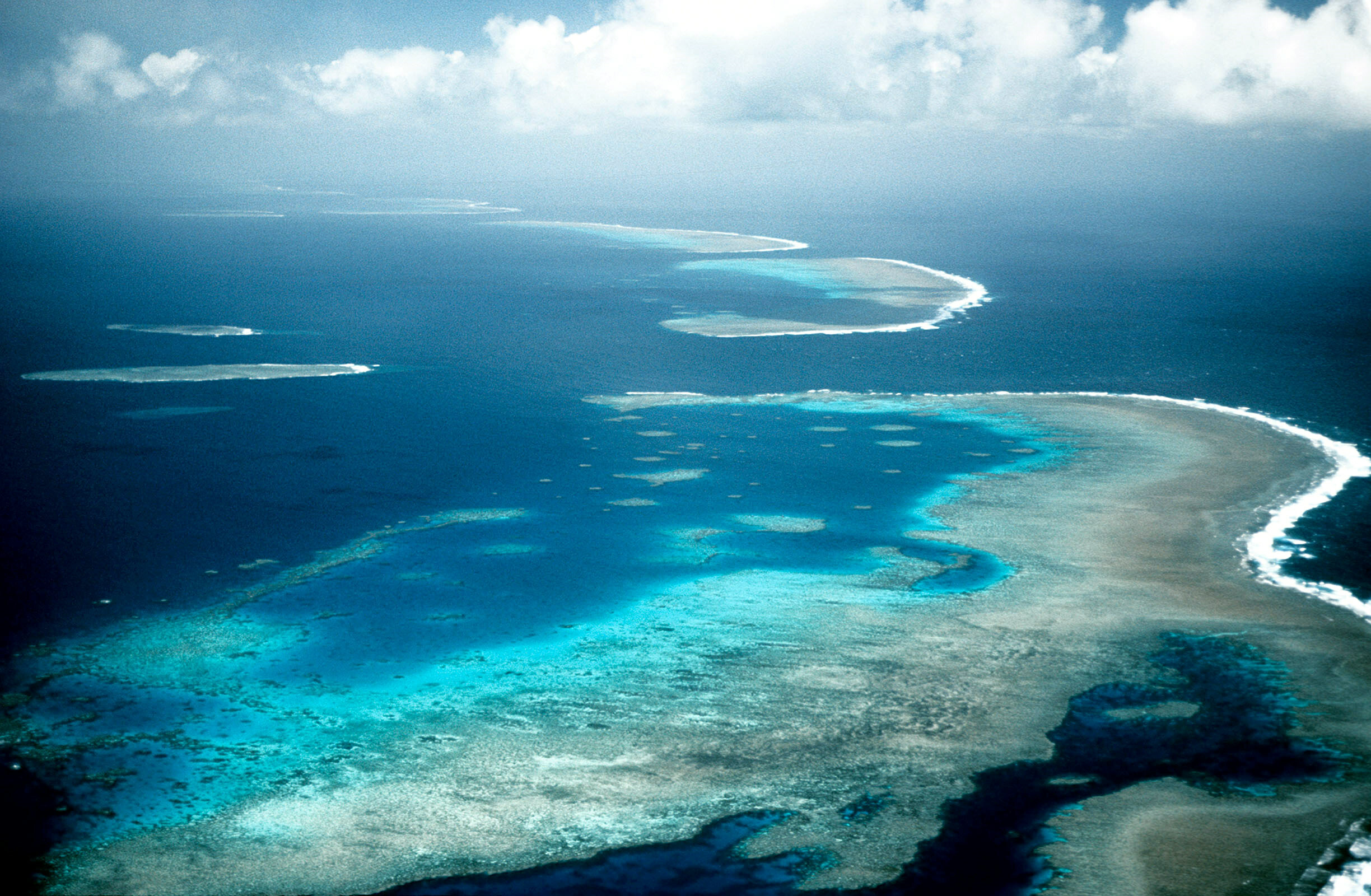 Great Barrier Reef HD wallpaper, Spectacular underwater landscapes, Vibrant coral life, Mesmerizing marine diversity, 2450x1600 HD Desktop