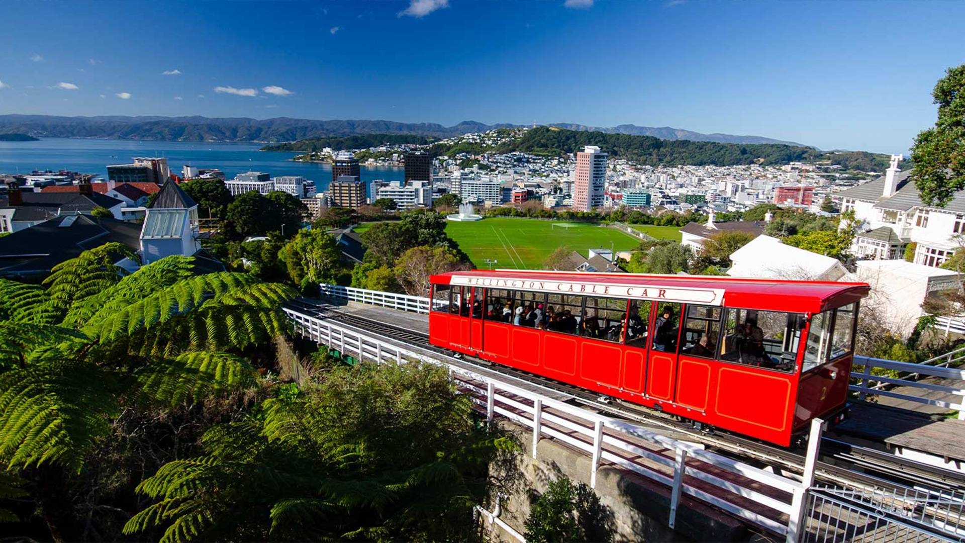 Wellington, New Zealand, City and bays, Morning tour, 1920x1080 Full HD Desktop