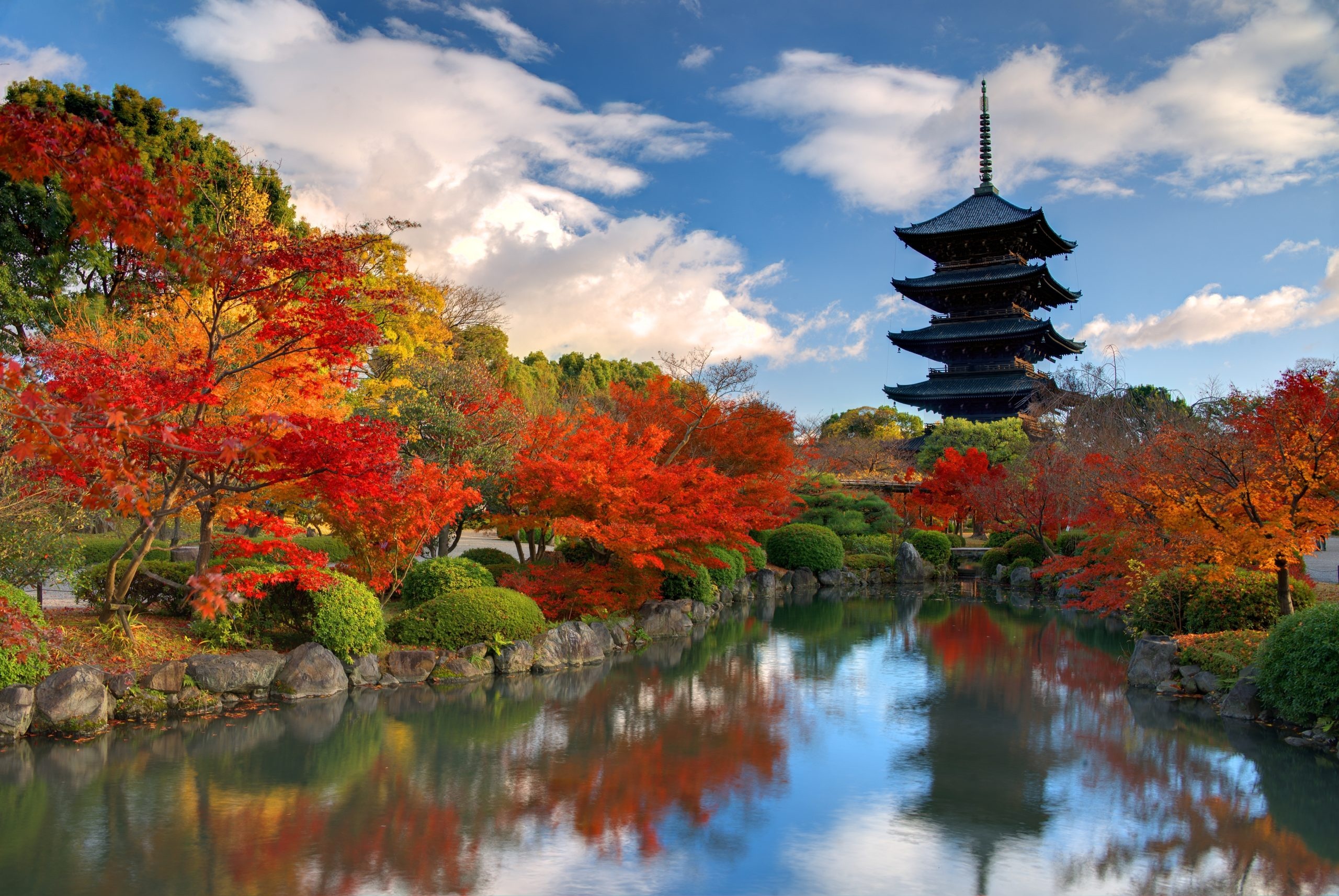 To-ji Temple, Kyoto Wallpaper, 2560x1720 HD Desktop