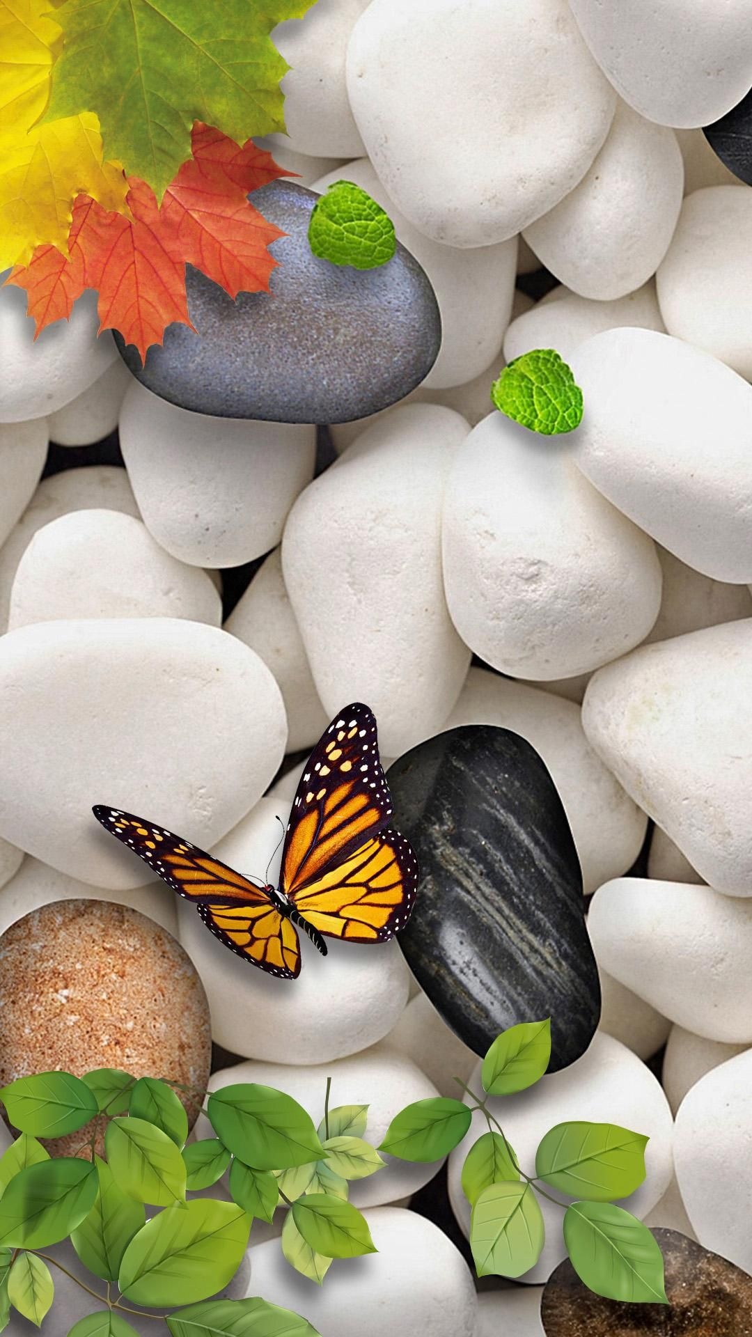 Butterfly, Stones Wallpaper, 1080x1920 Full HD Phone