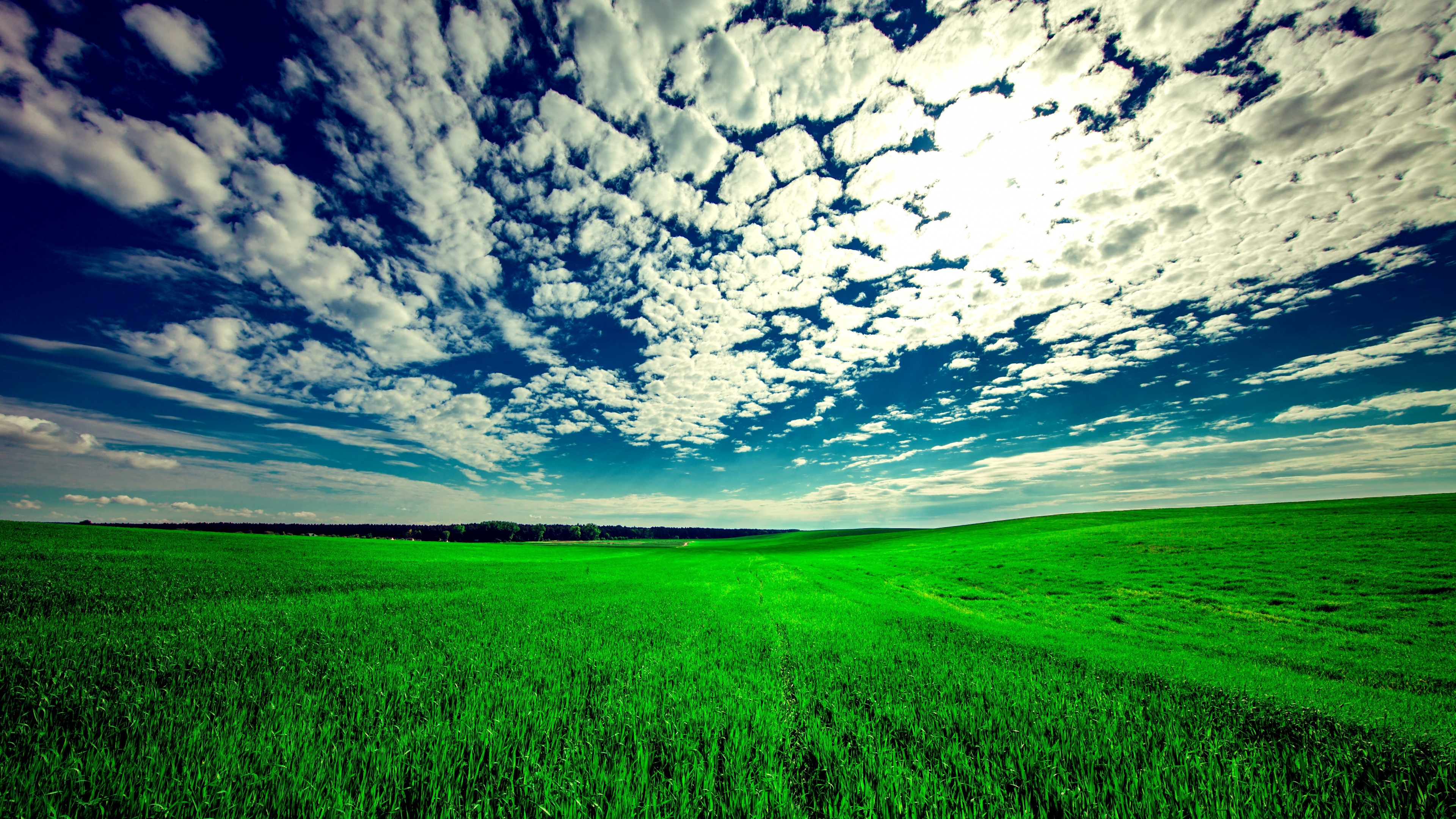 Grassland nature, Field landscape, Sunny day beauty, Picturesque scenery, 3840x2160 4K Desktop