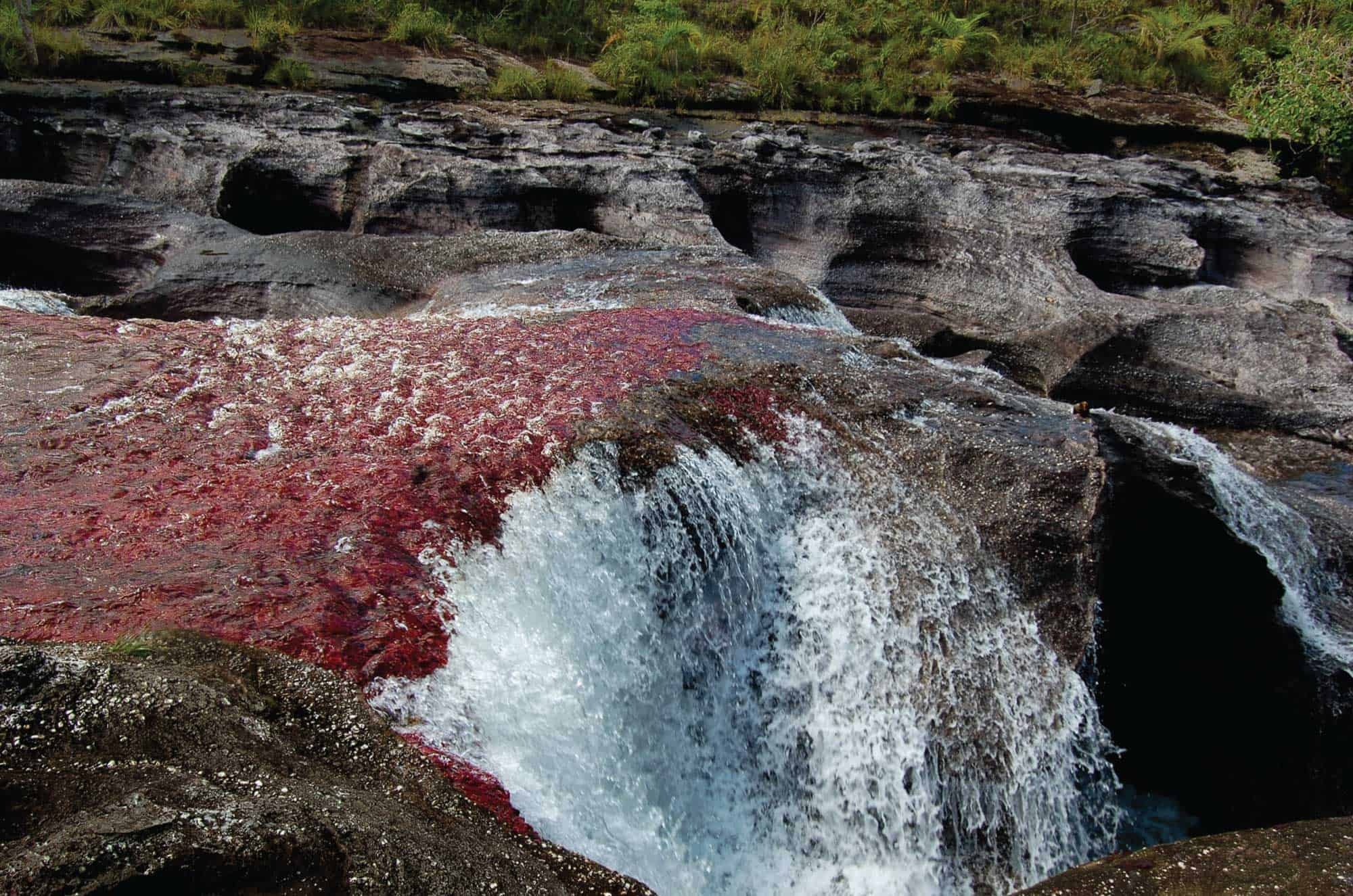 Serrania de la Macarena, Cao Cristales, Colombian Way, 2000x1330 HD Desktop