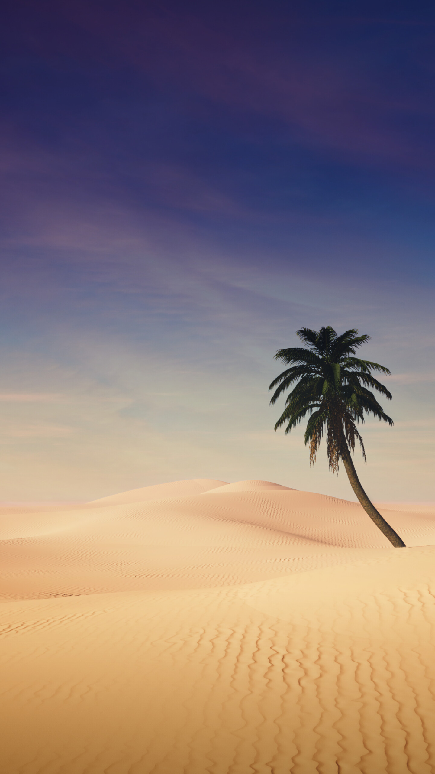 Desert, Palm Trees Wallpaper, 1440x2560 HD Phone