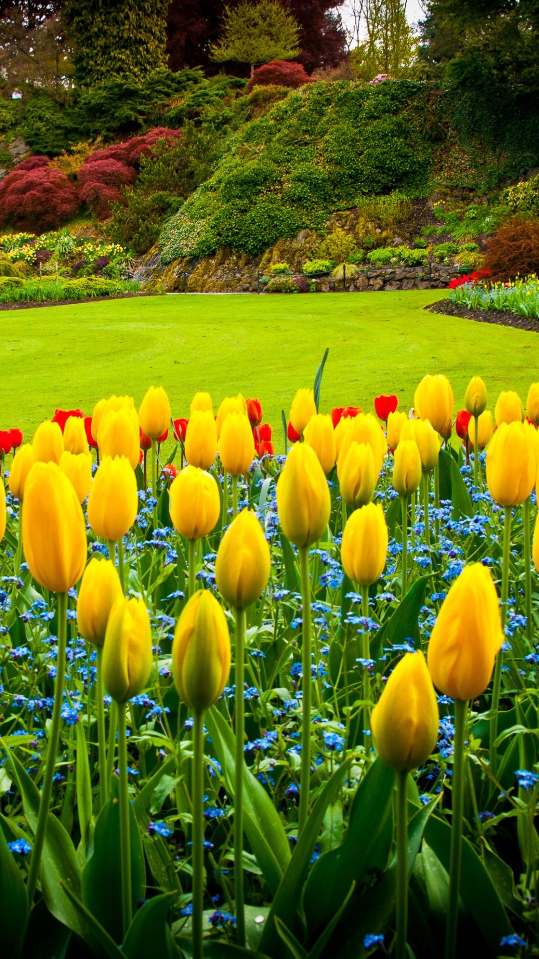 Queen Elizabeth Park, Flower Garden Wallpaper, 1080x1920 Full HD Phone