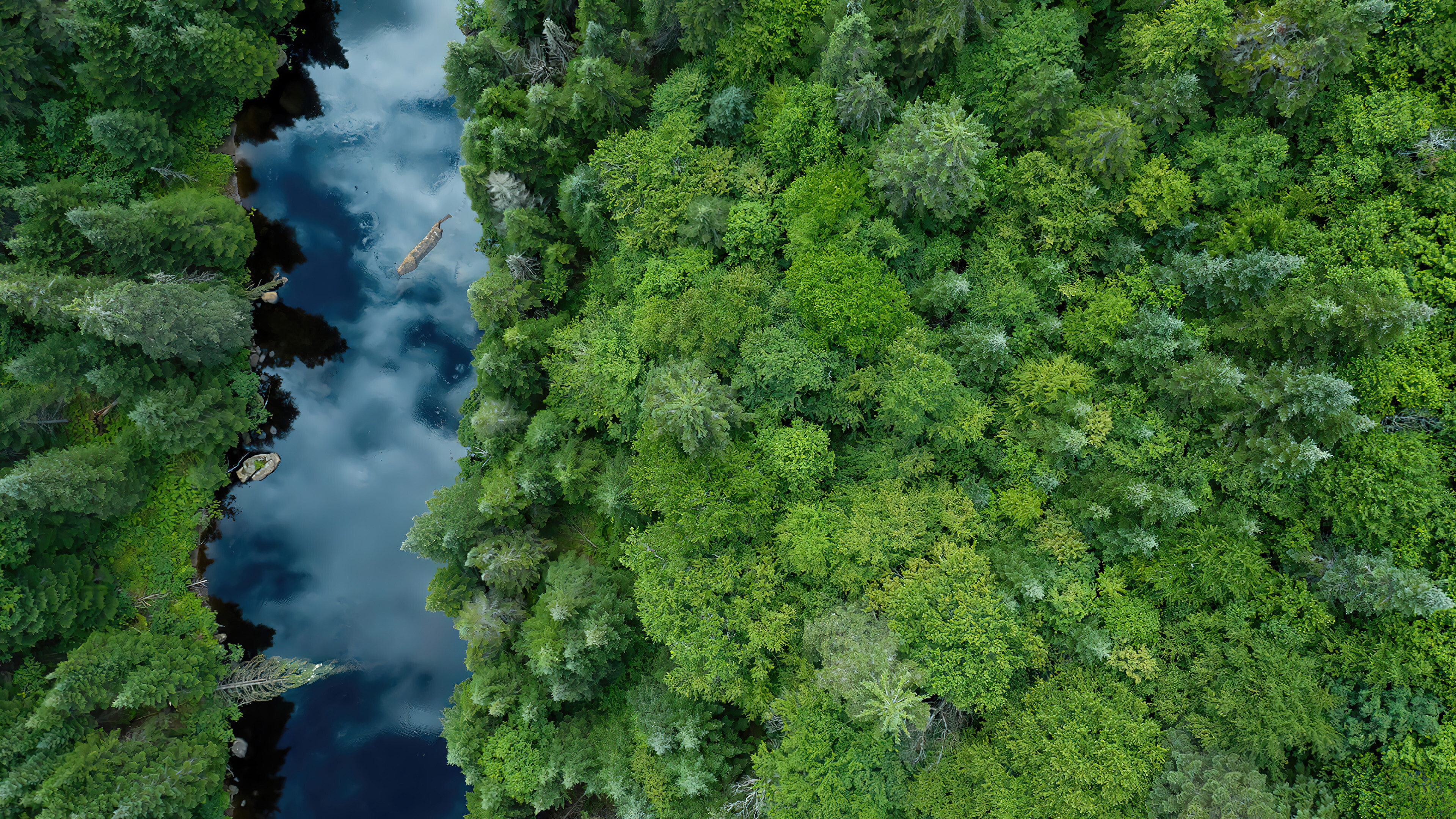 Aerial river view, Forest canopy, Nature's embrace, Desktop bliss, 3840x2160 4K Desktop